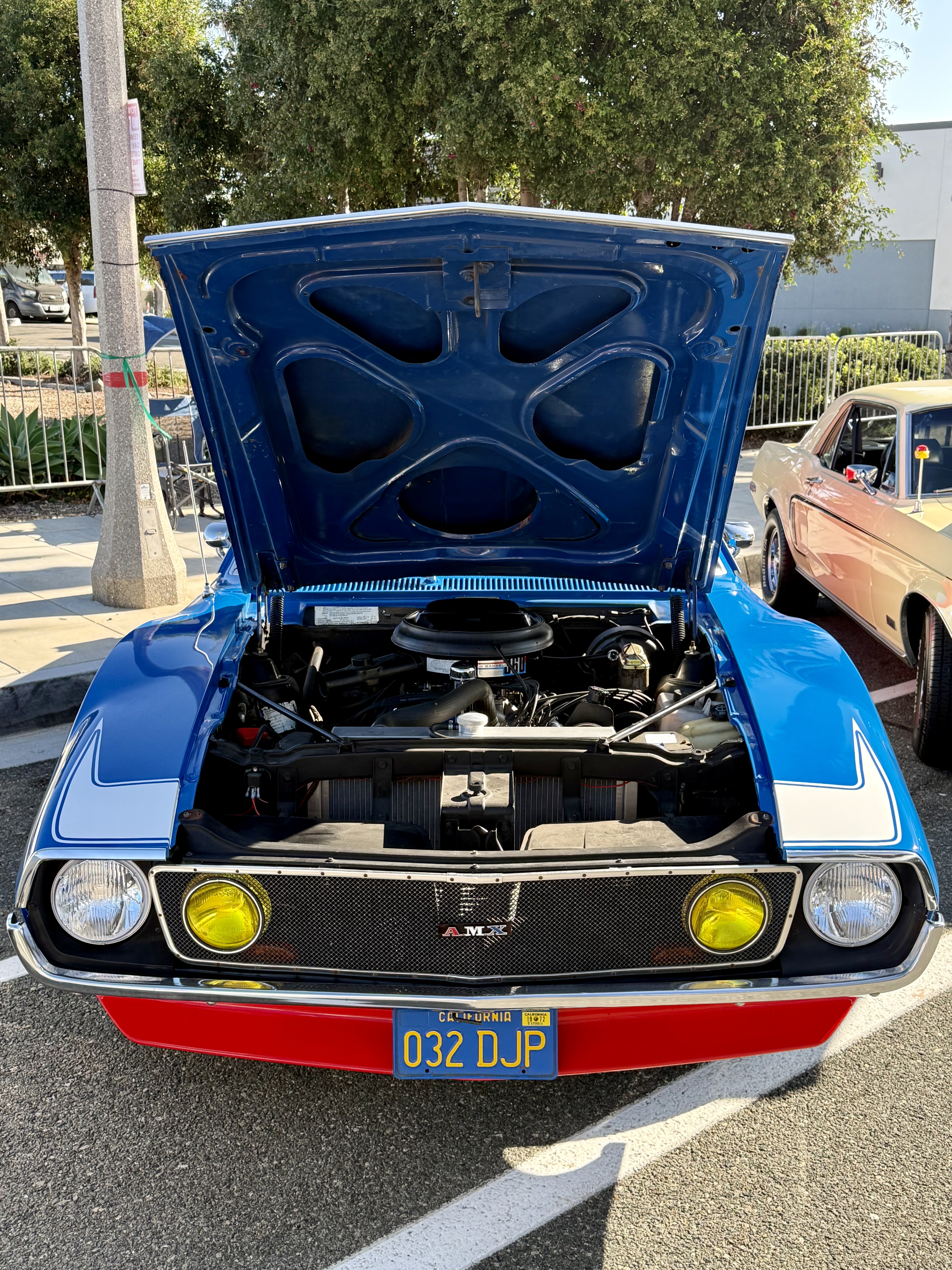 1972 AMC Javelin — Lineage Image 2