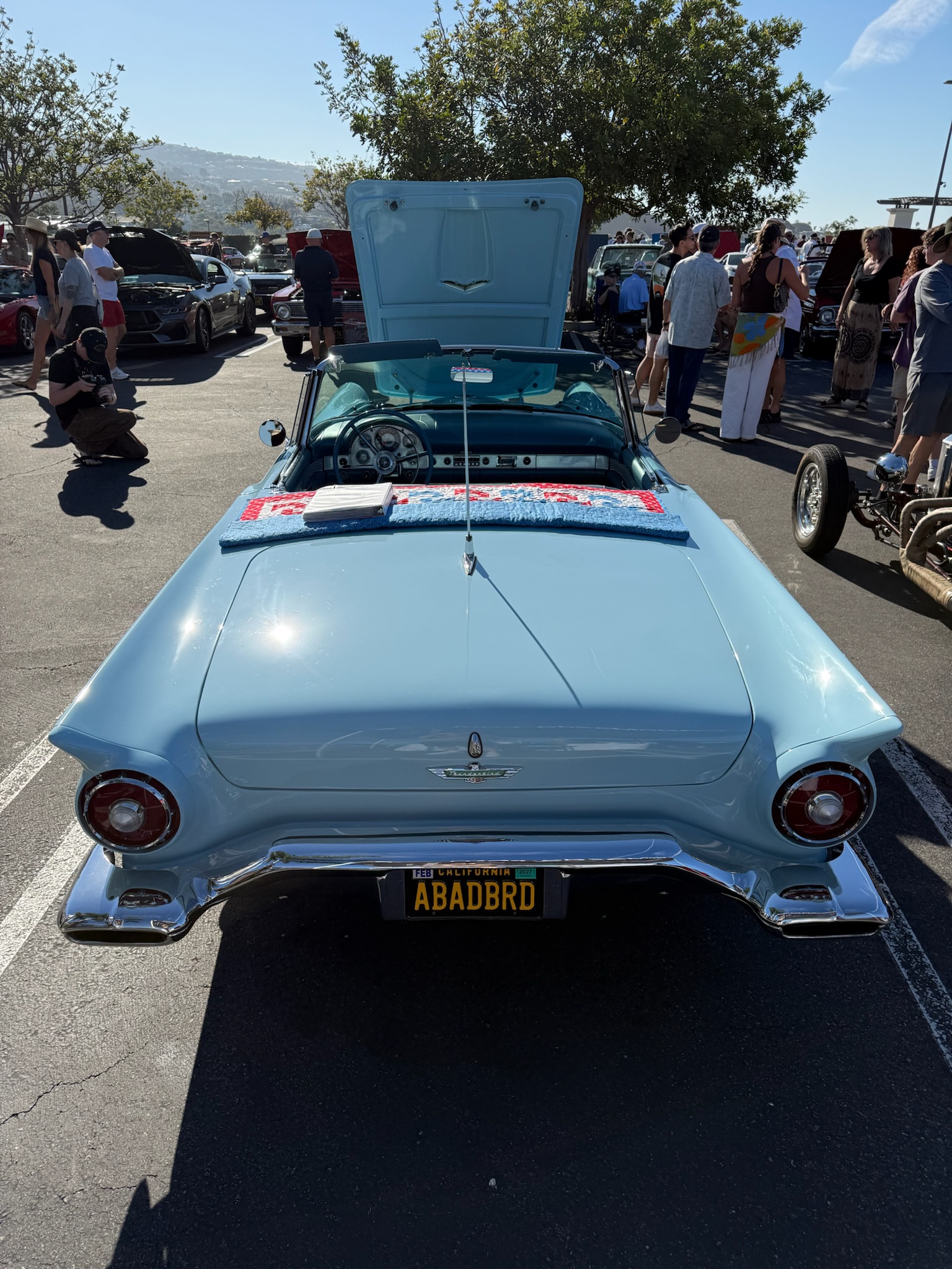 1957 Ford Thunderbird — Lineage Image 2