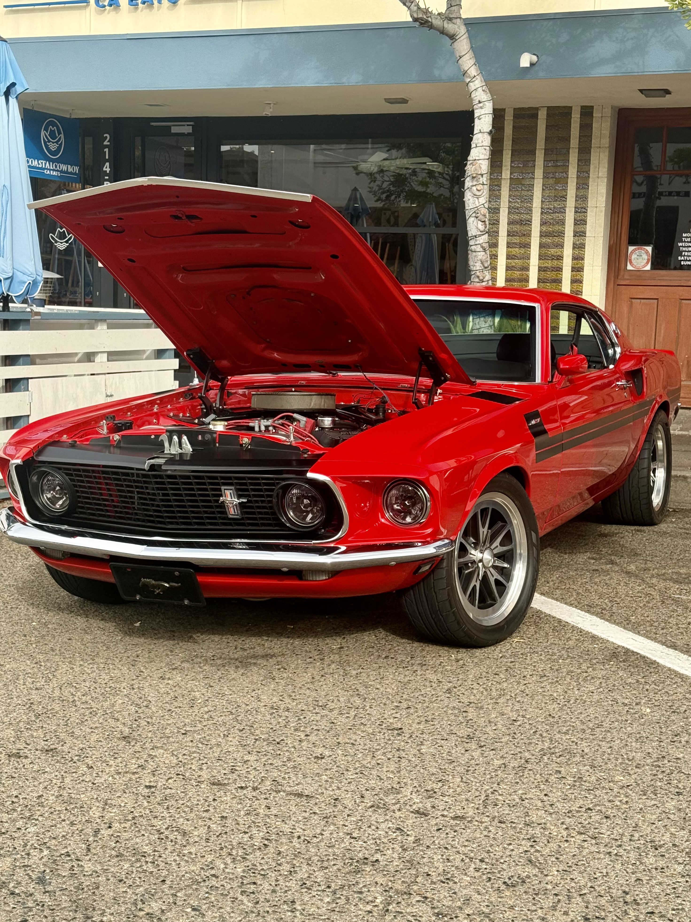1969 Ford Mustang hero image