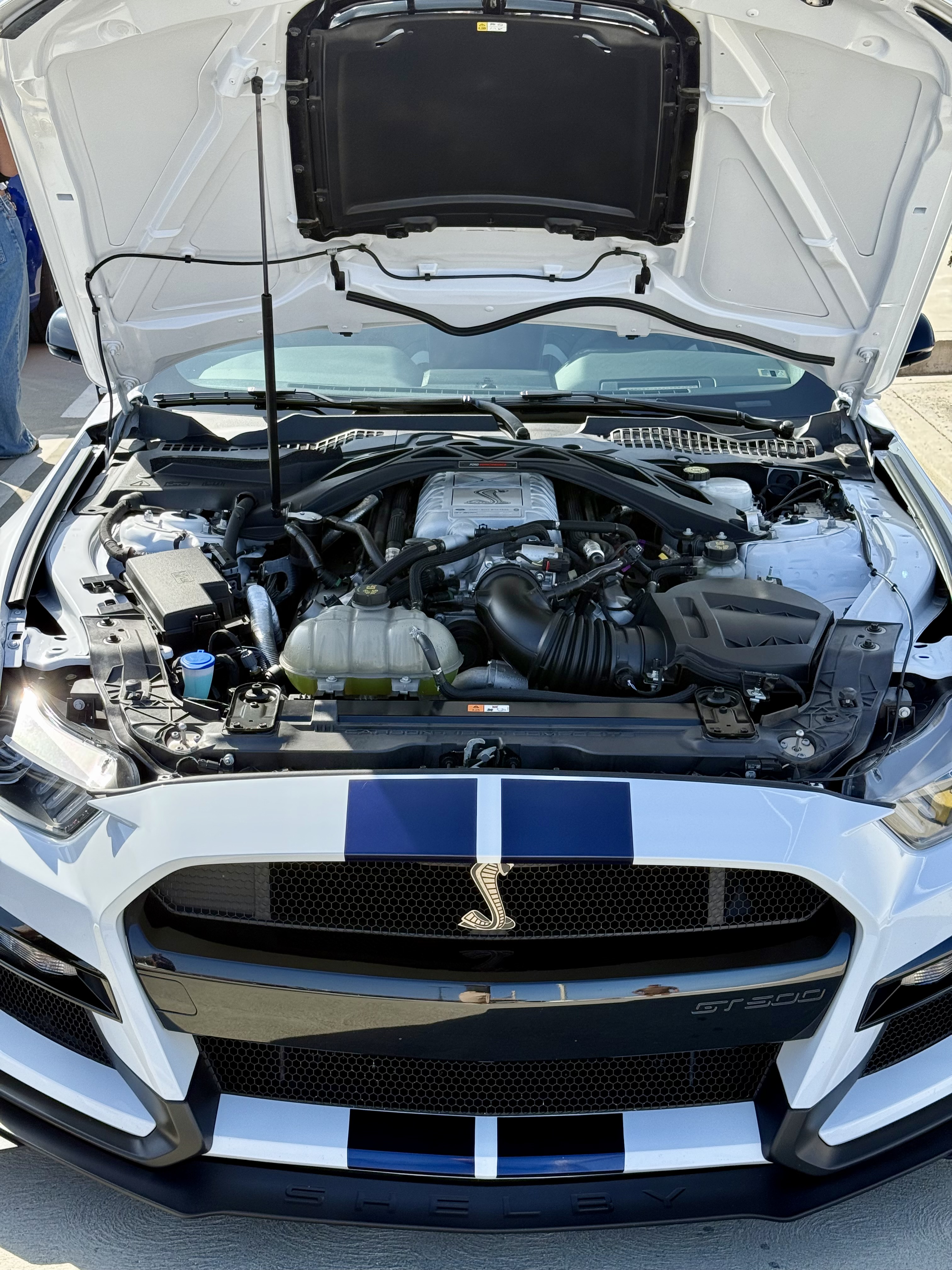 2022 Ford Mustang — Lineage Image 2