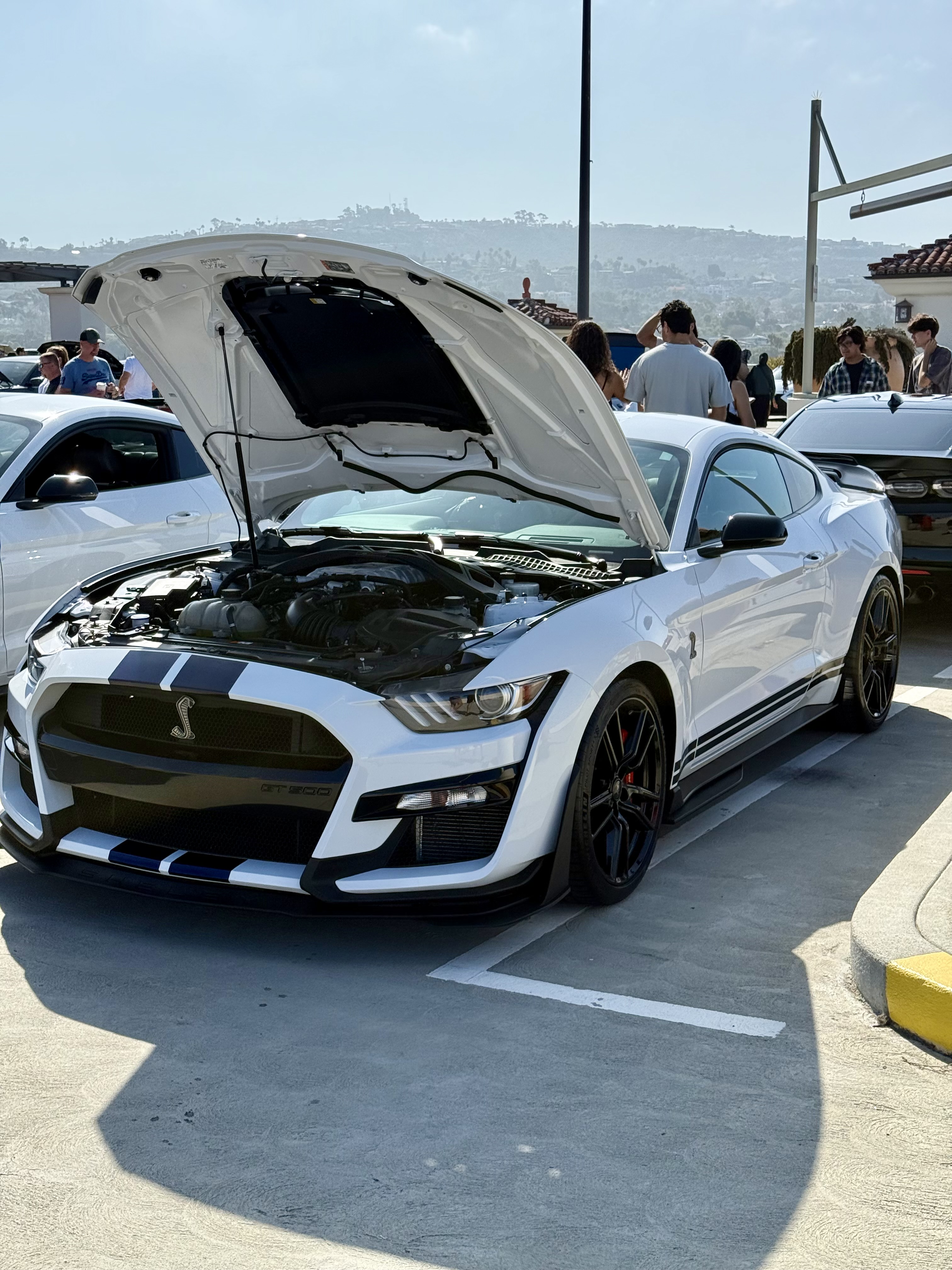2022 Ford Mustang hero image