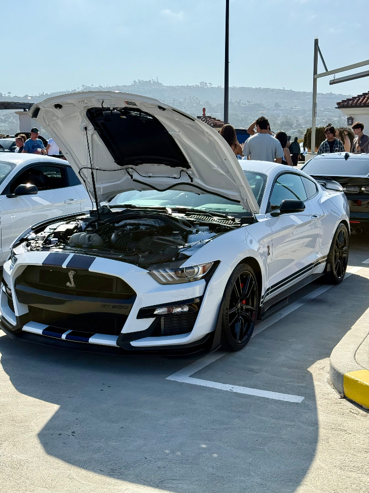 2022 Ford Mustang — Lineage Image 1