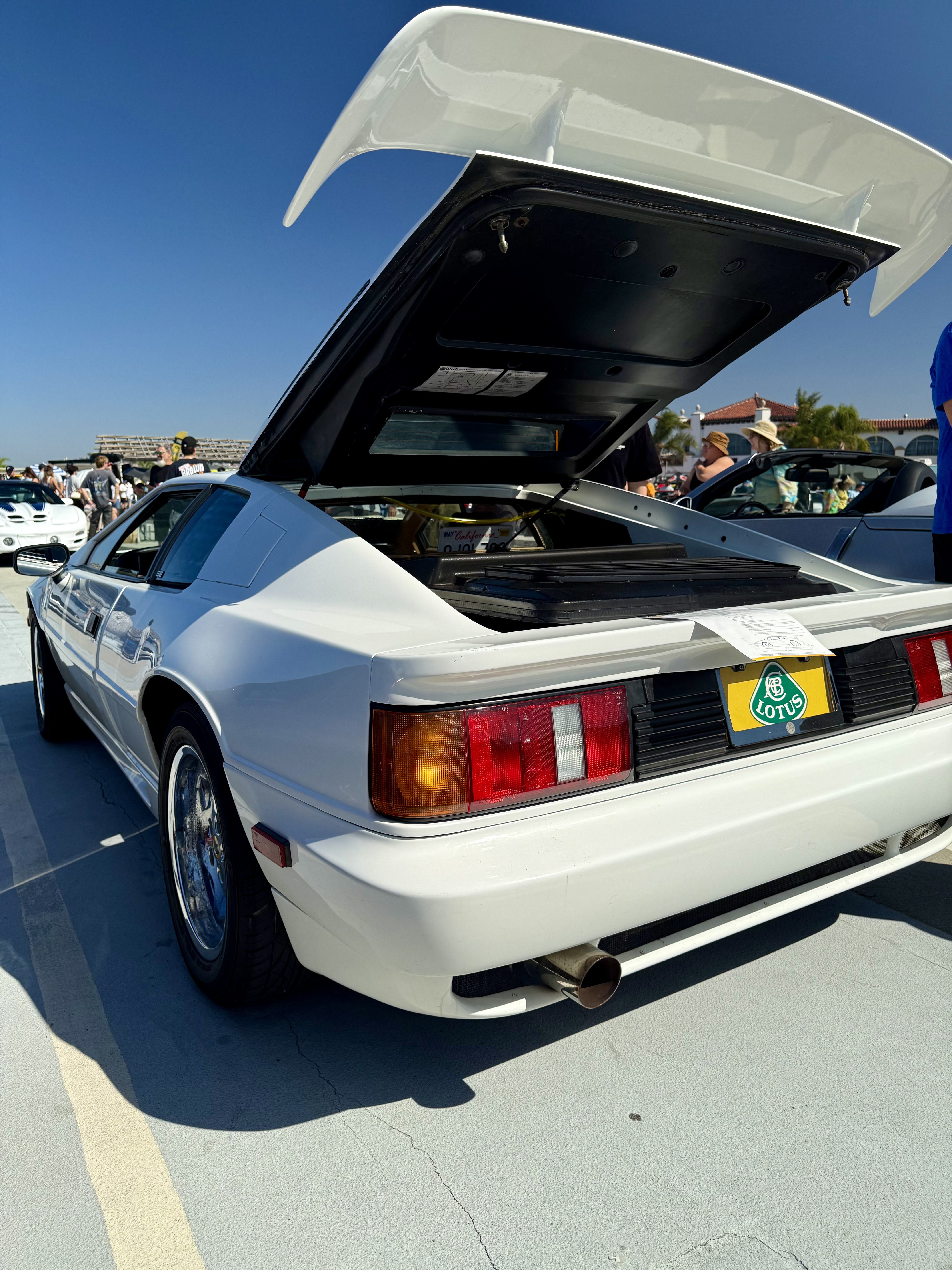 1989 Lotus Esprit — Lineage Image 5