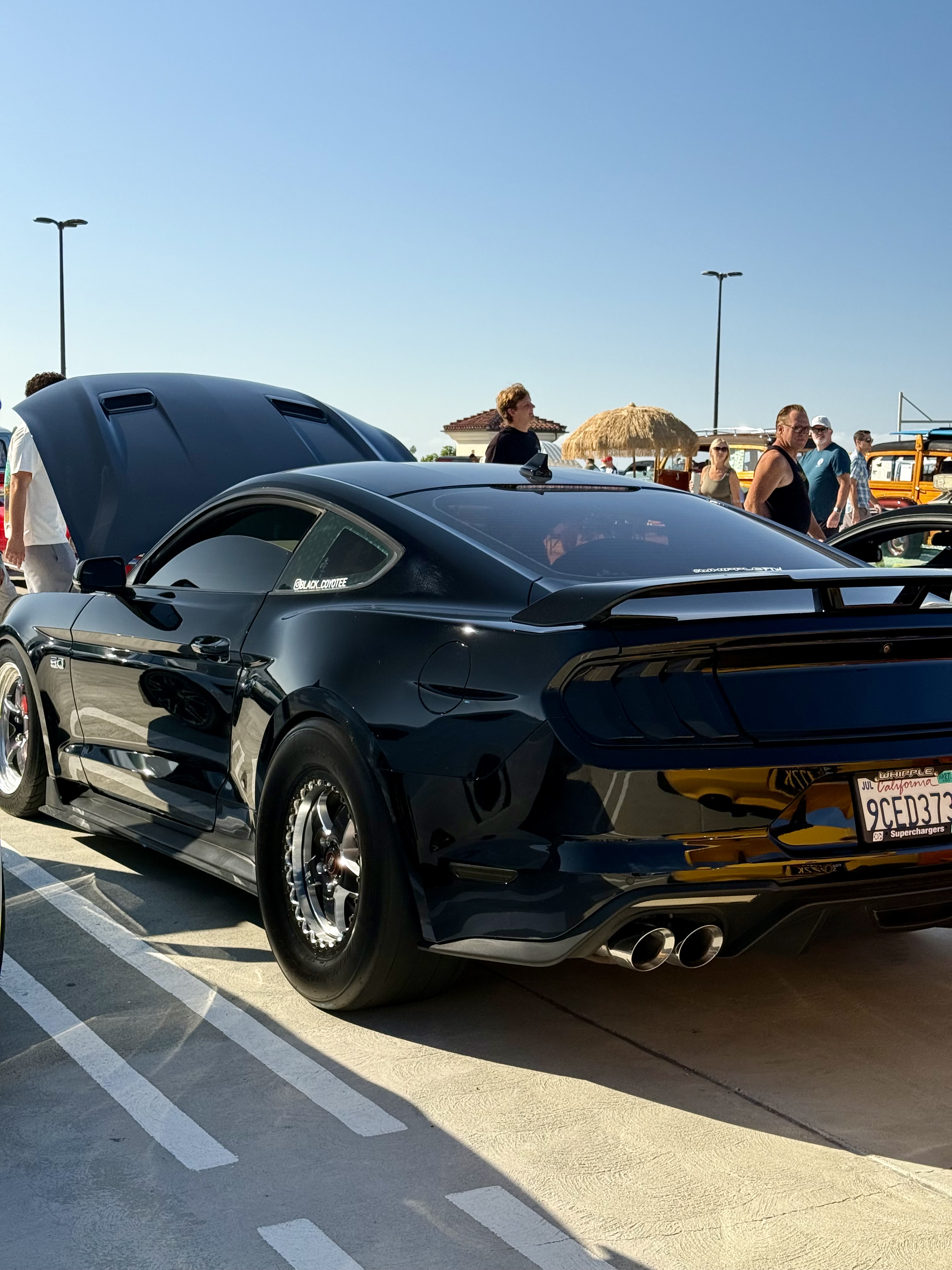 2020 Ford Mustang — Lineage Image 3