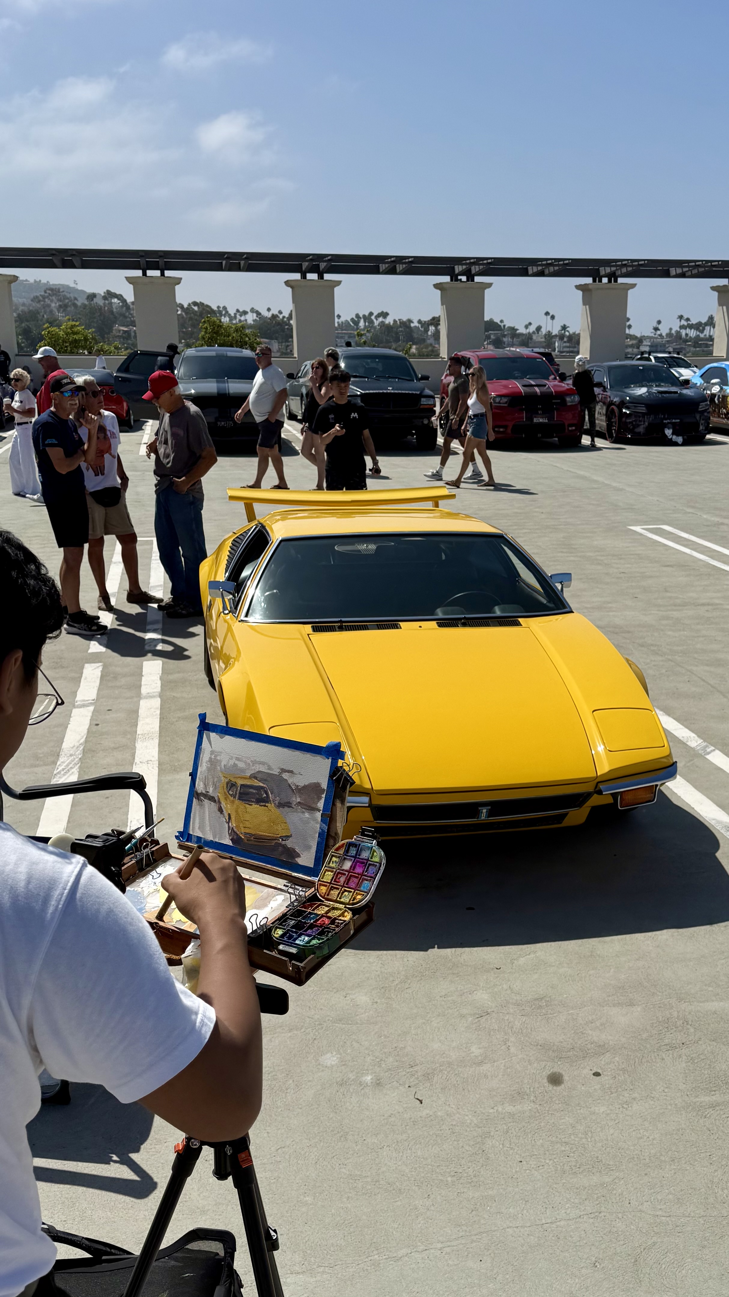 1972 De Tomaso Pantera — Lineage Image 1