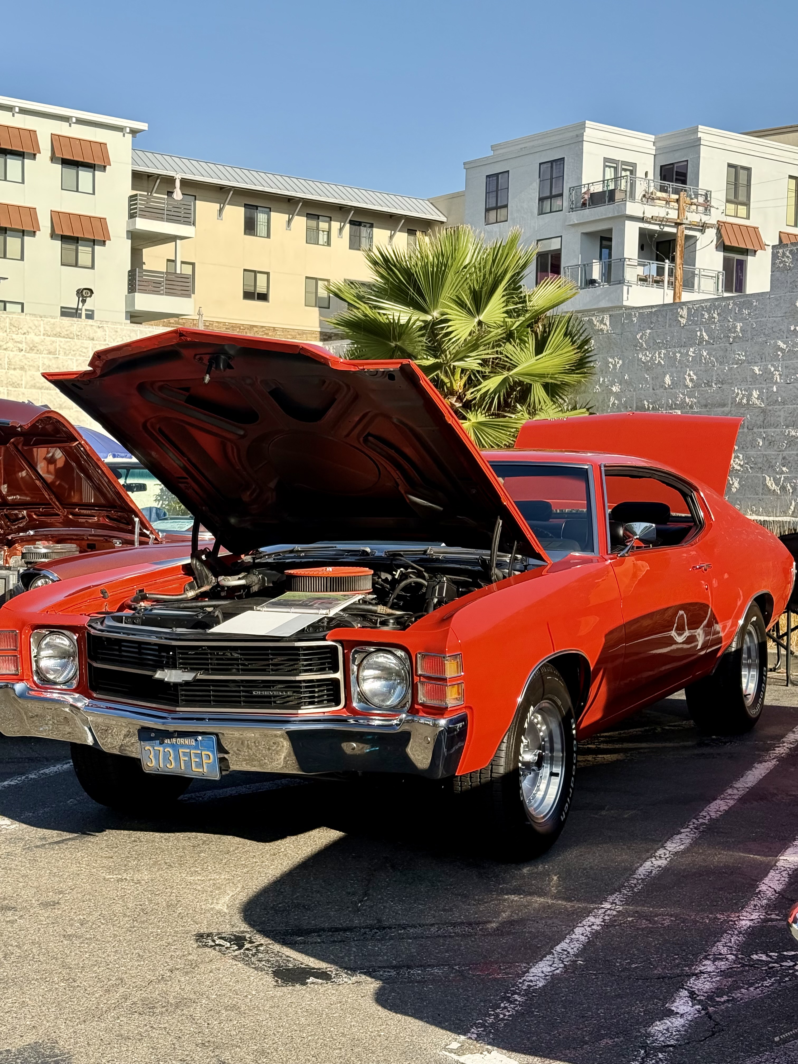1971 Chevrolet Chevelle — Lineage Image 1