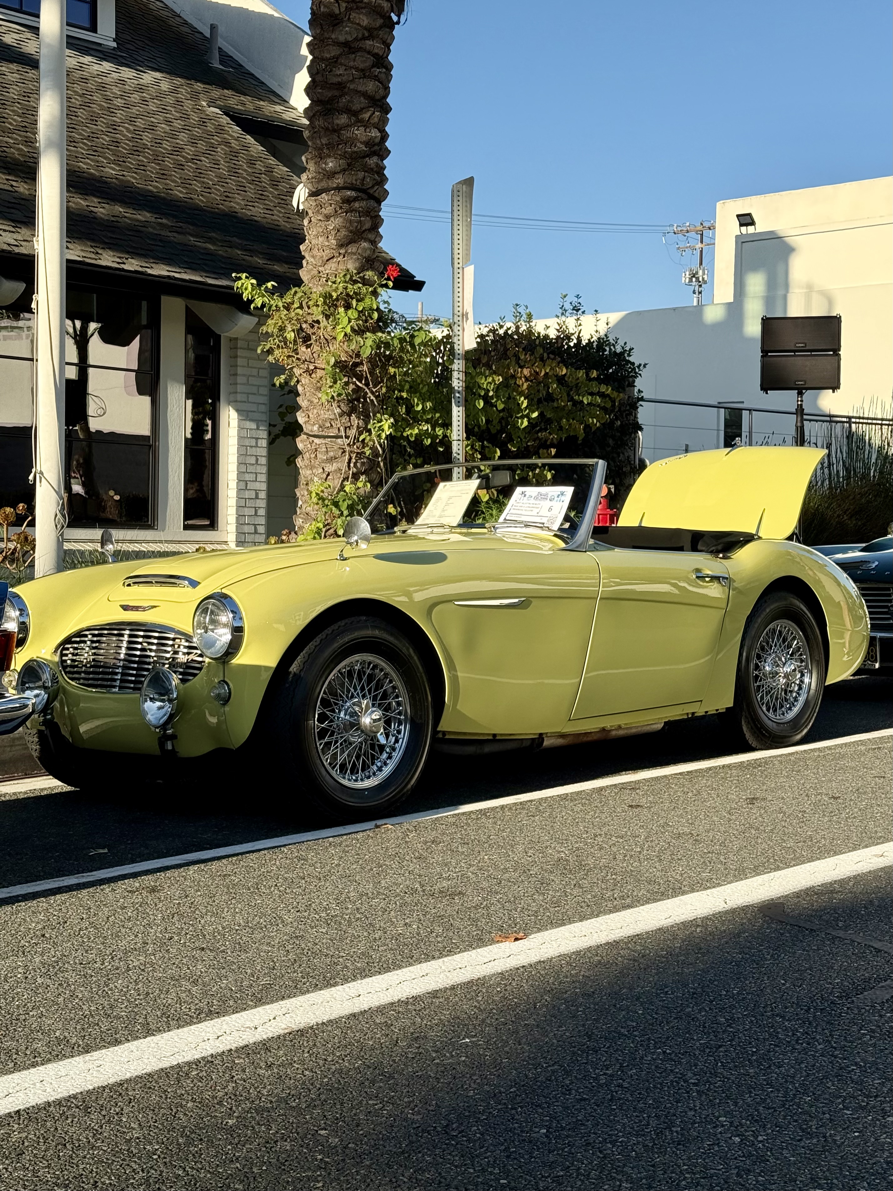 1957 Austin-Healey 100-6 hero image