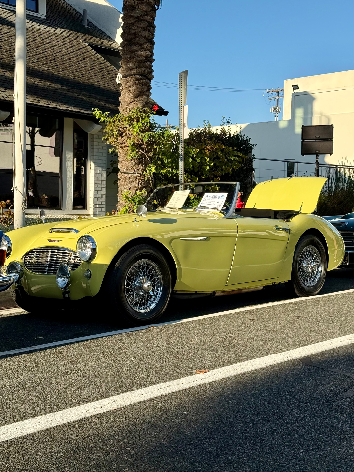 1957 Austin-Healey 100-6 — Lineage Image 1