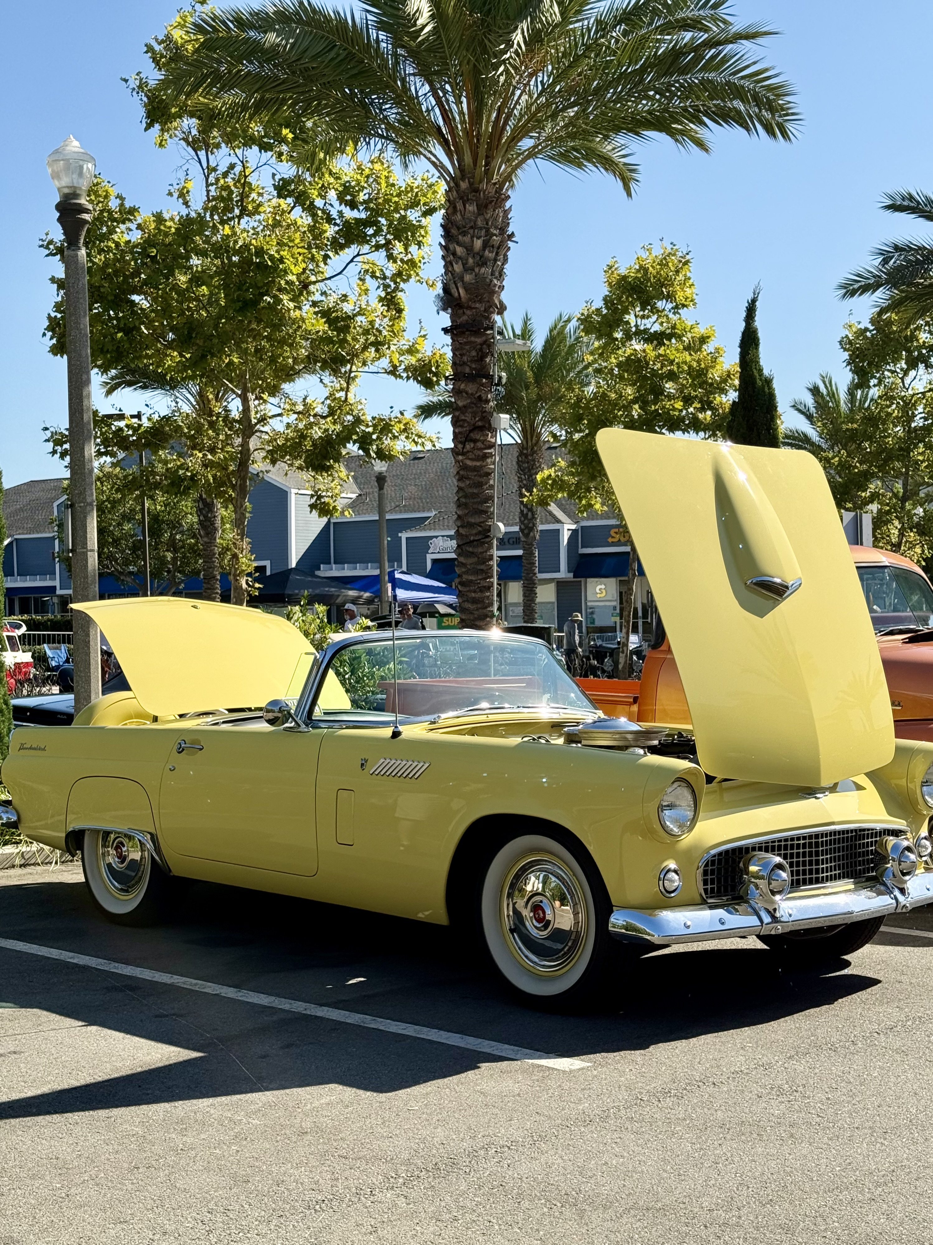 1956 Ford Thunderbird — Lineage Image 1