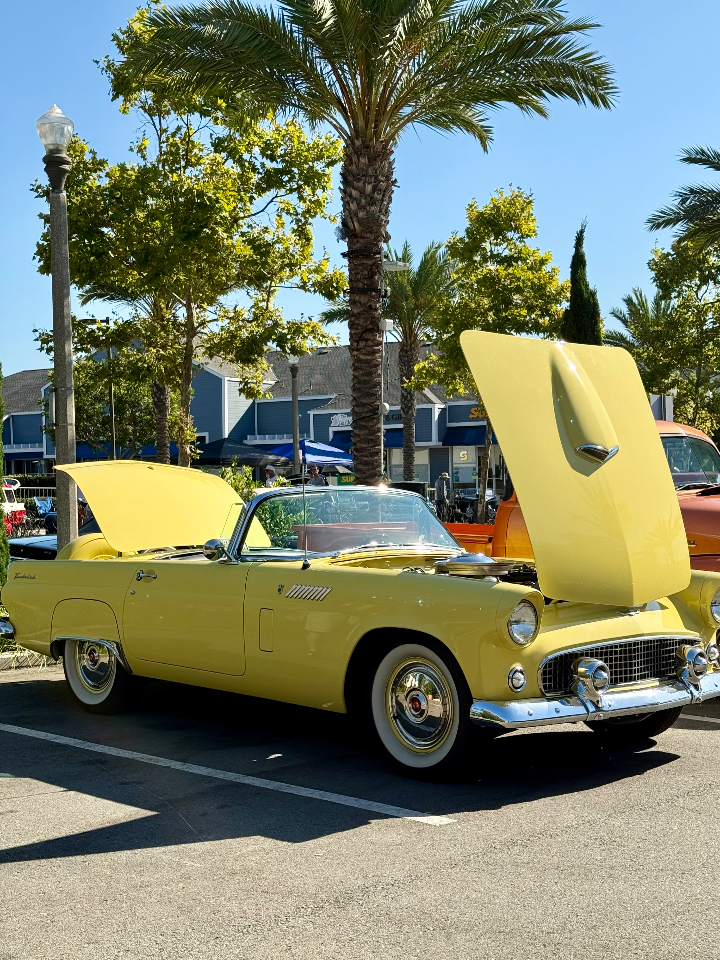 1956 Ford Thunderbird — Lineage Image 1