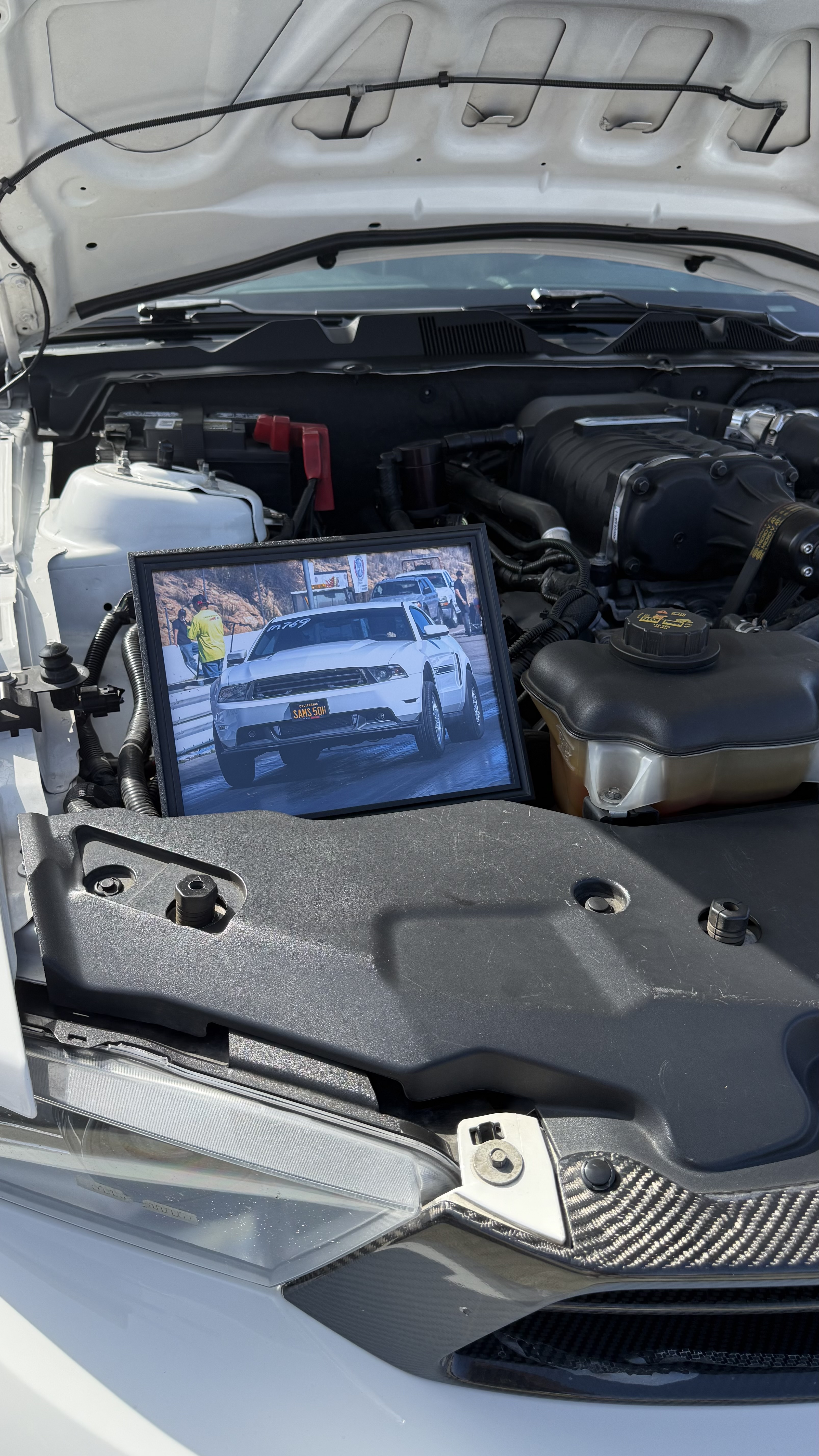 2012 Ford Mustang — Lineage Image 3