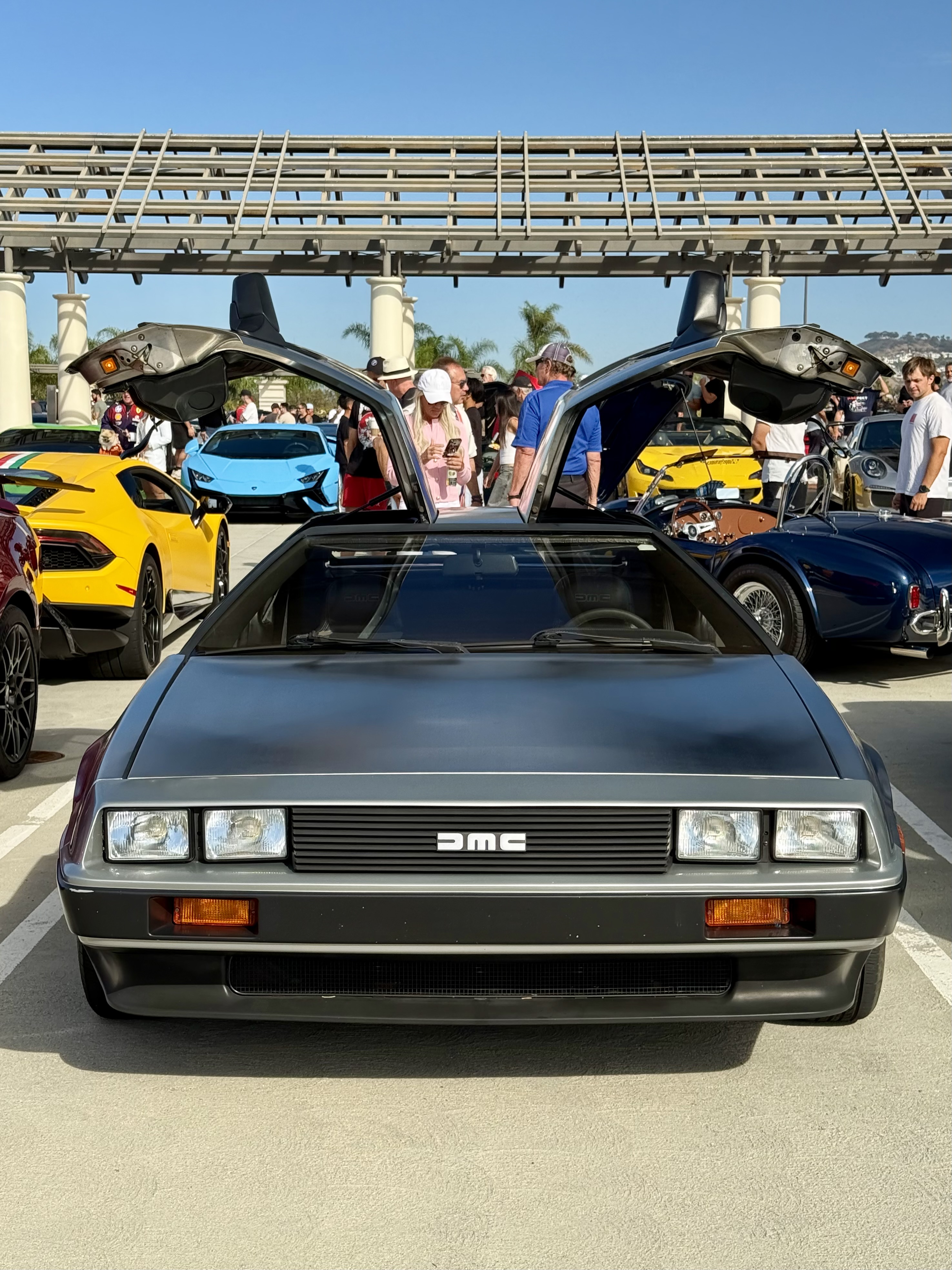 1981 DeLorean DMC-12 — Lineage Image 2