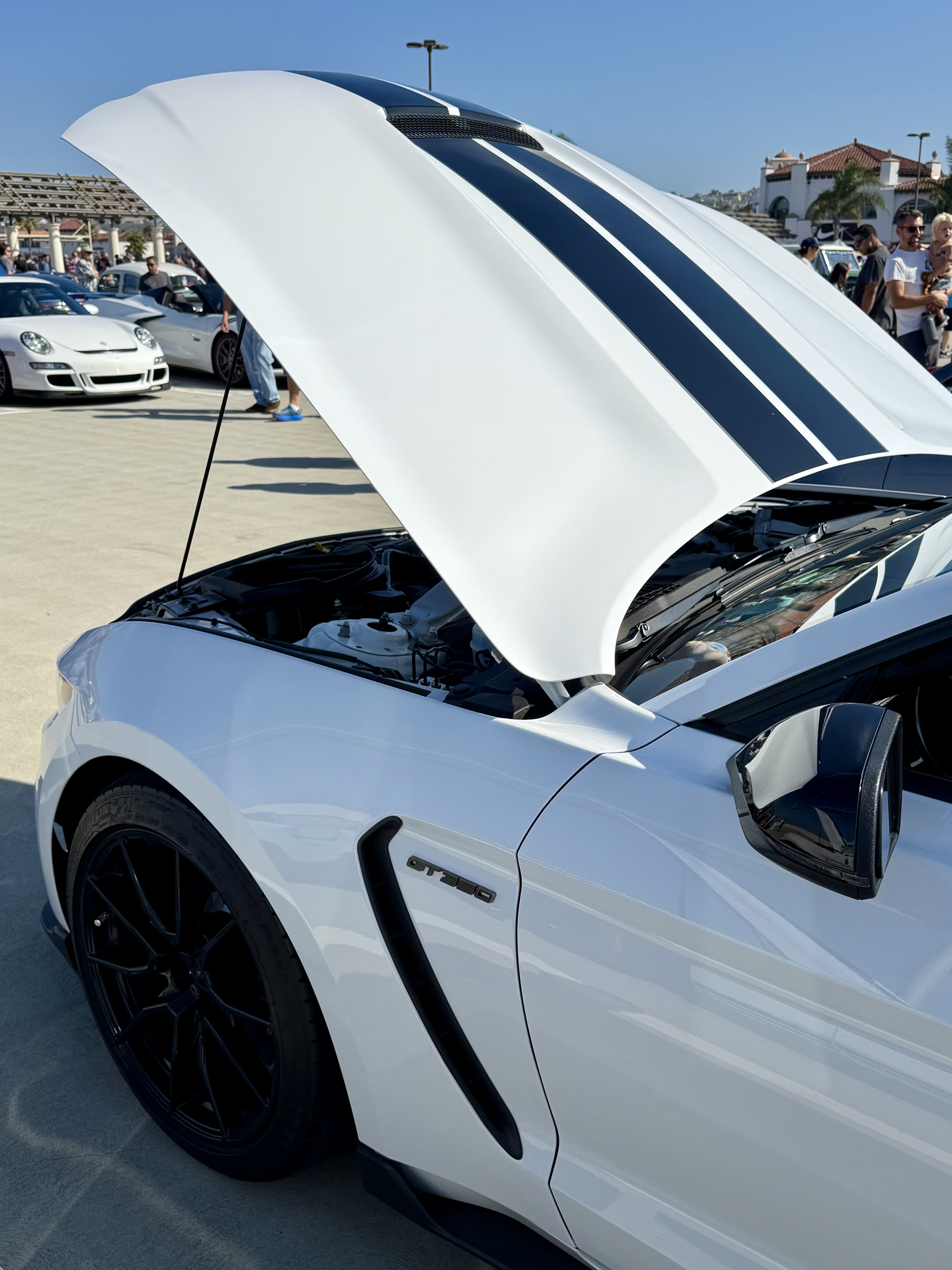 2019 Ford Mustang — Lineage Image 4