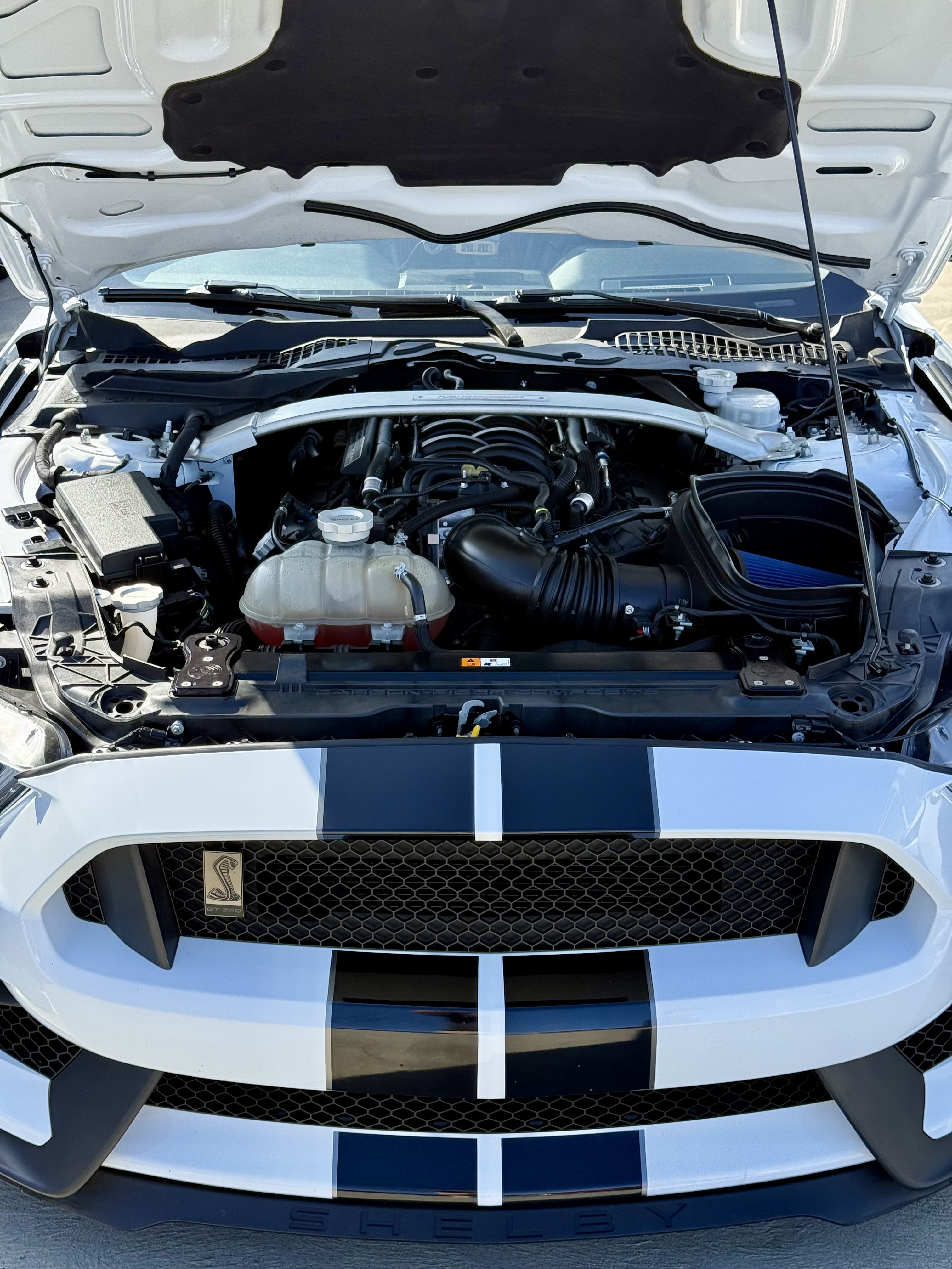 2019 Ford Mustang — Lineage Image 2