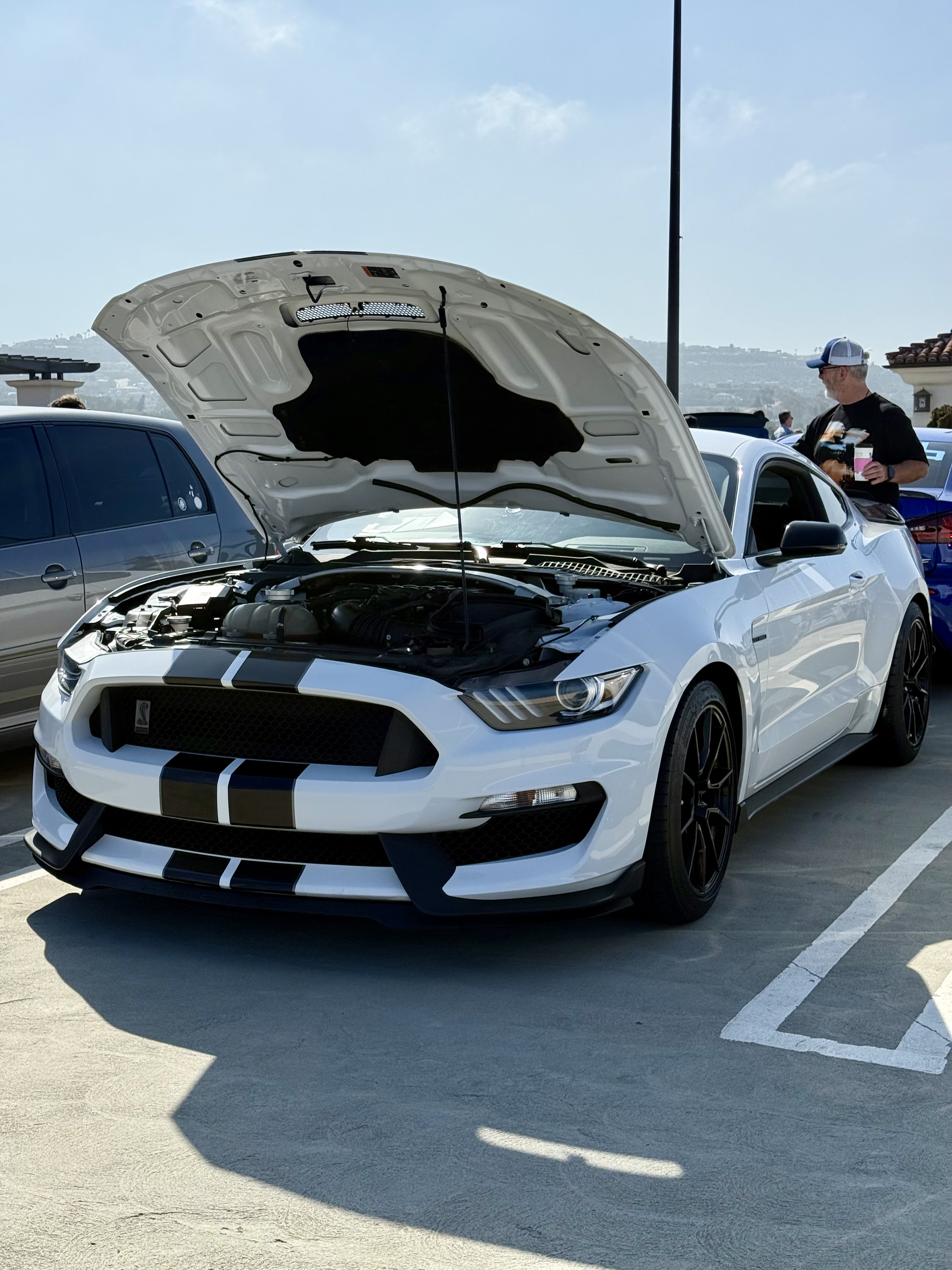 2019 Ford Mustang hero image