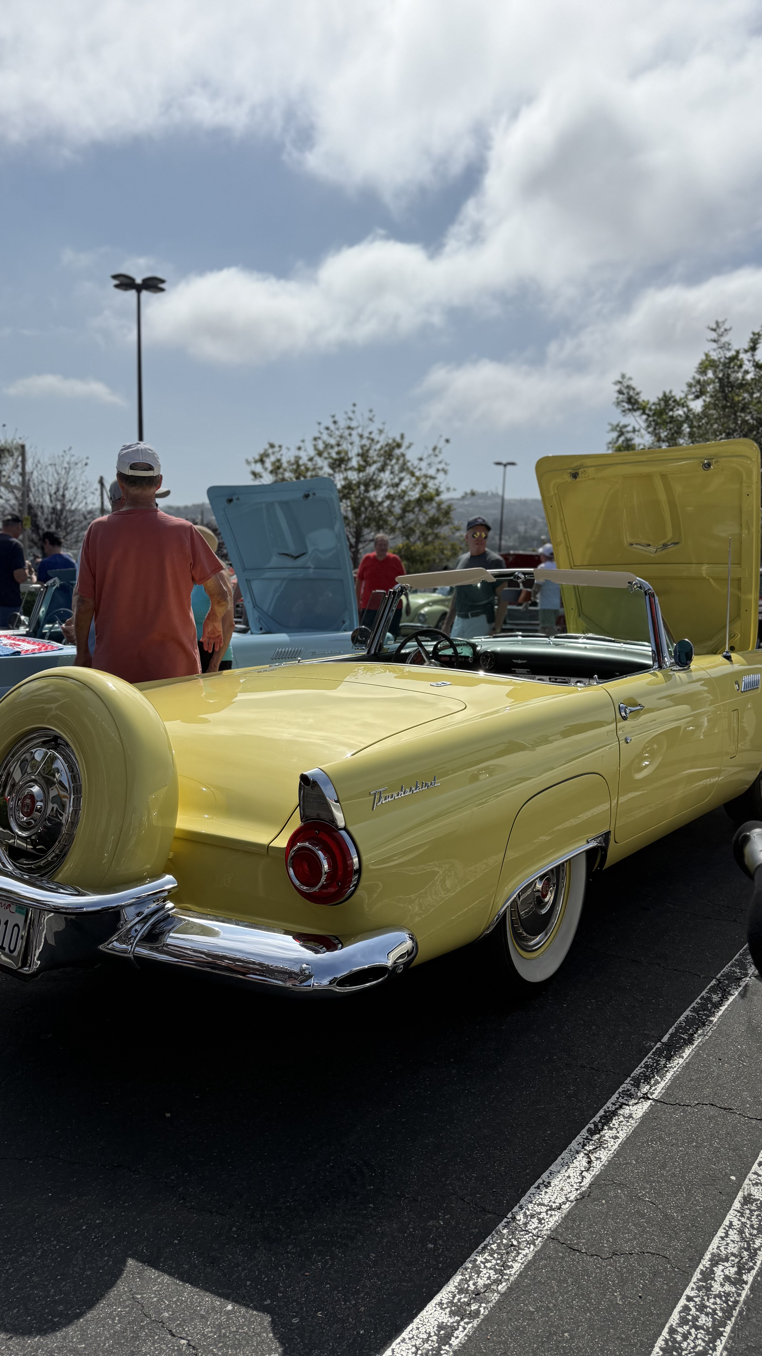 1956 Ford Thunderbird — Lineage Image 4