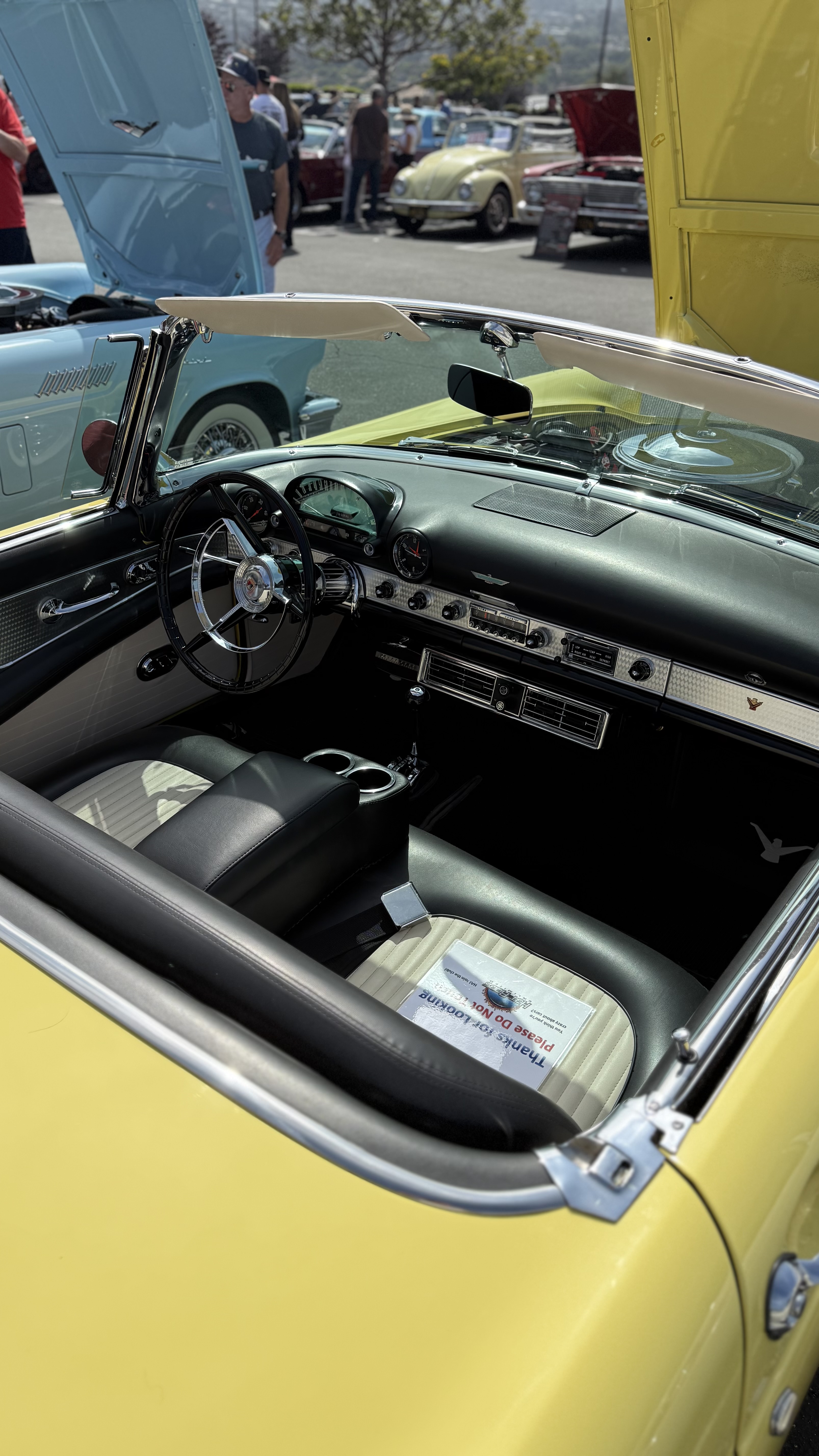 1956 Ford Thunderbird — Lineage Image 3