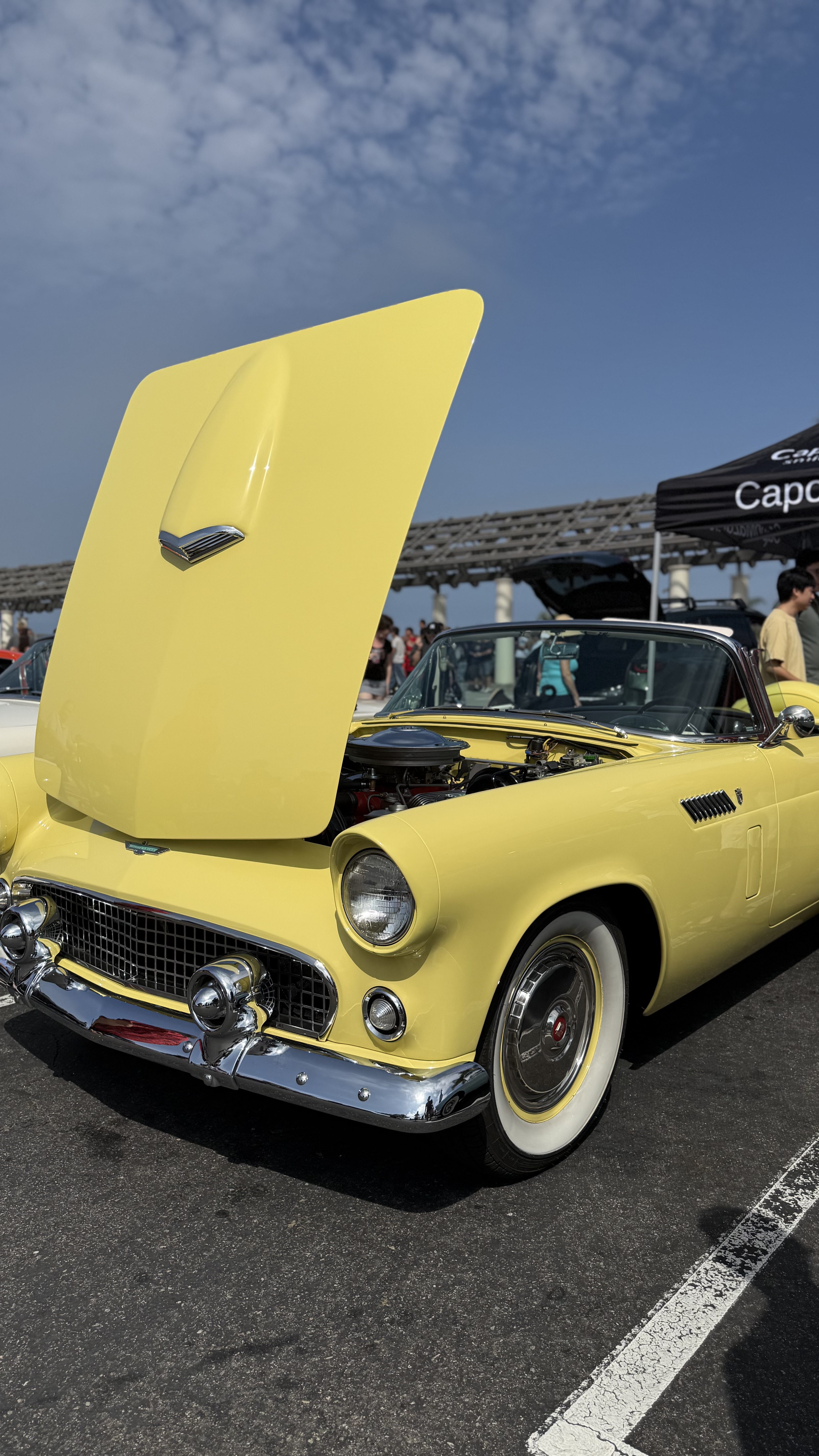 1956 Ford Thunderbird hero image