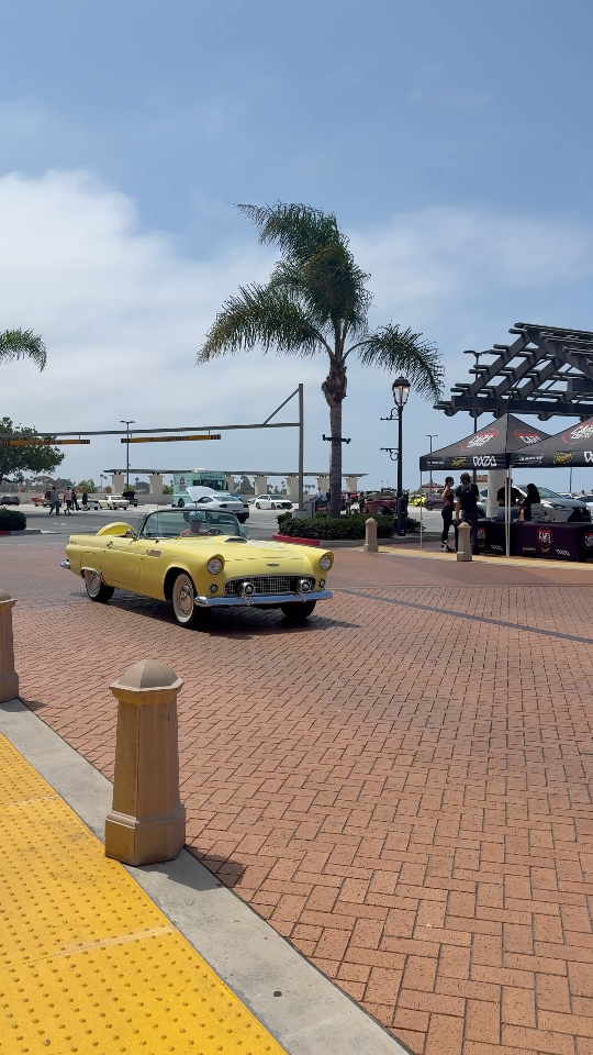 1956 Ford Thunderbird — Lineage Video 1