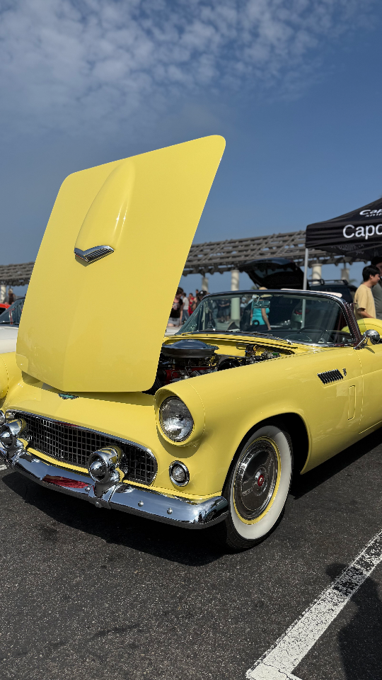 1956 Ford Thunderbird — Lineage Image 1