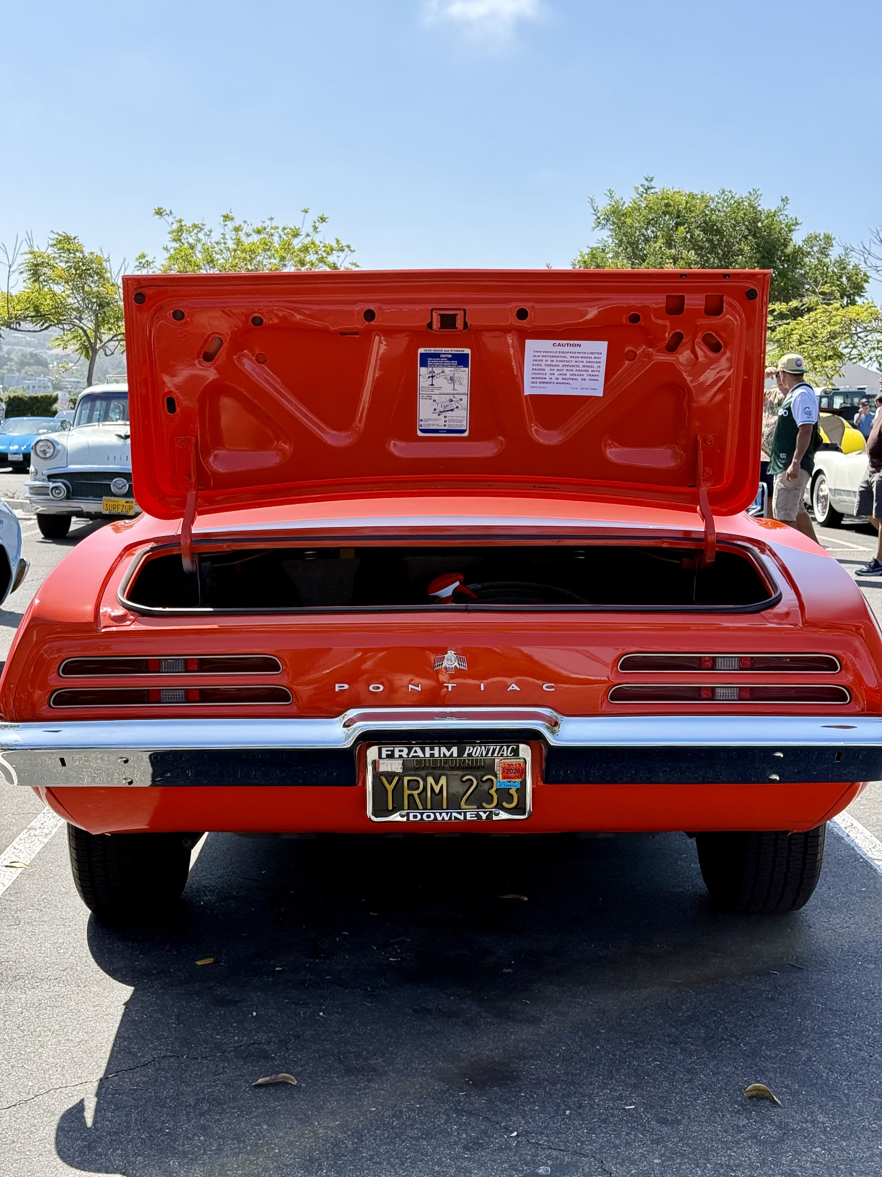 1969 Pontiac Firebird — Lineage Image 4