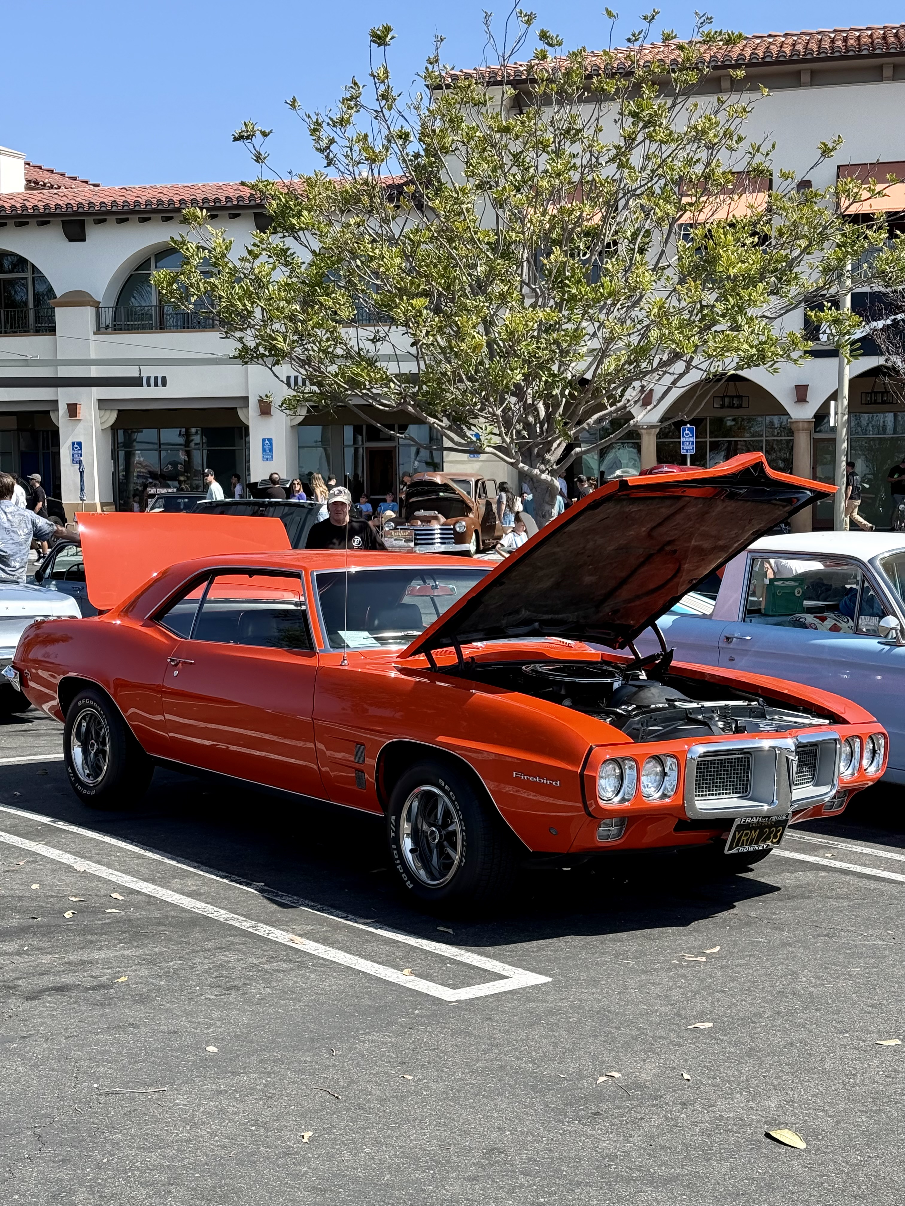 1969 Pontiac Firebird hero image