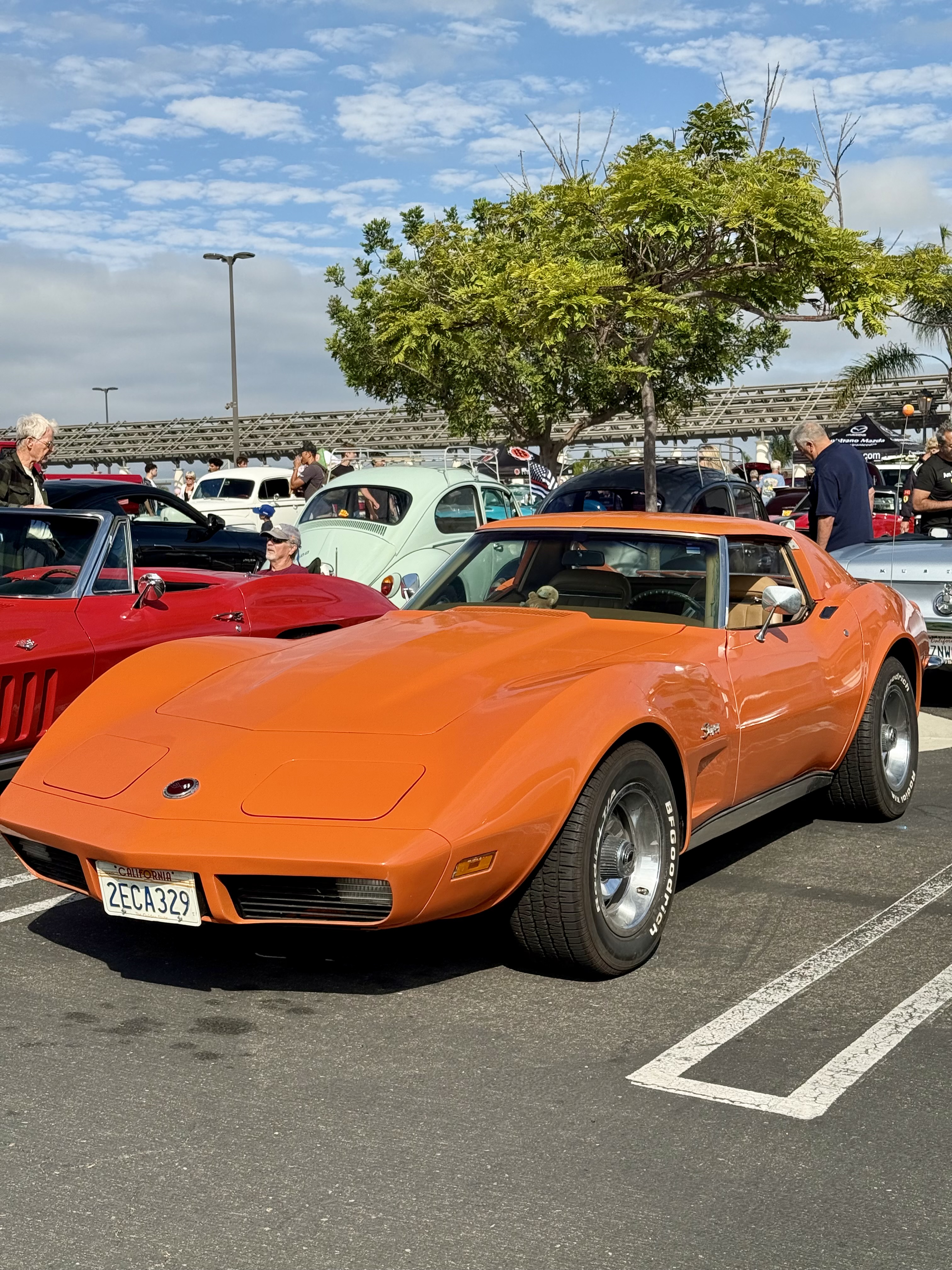 1973 Chevrolet Corvette hero image