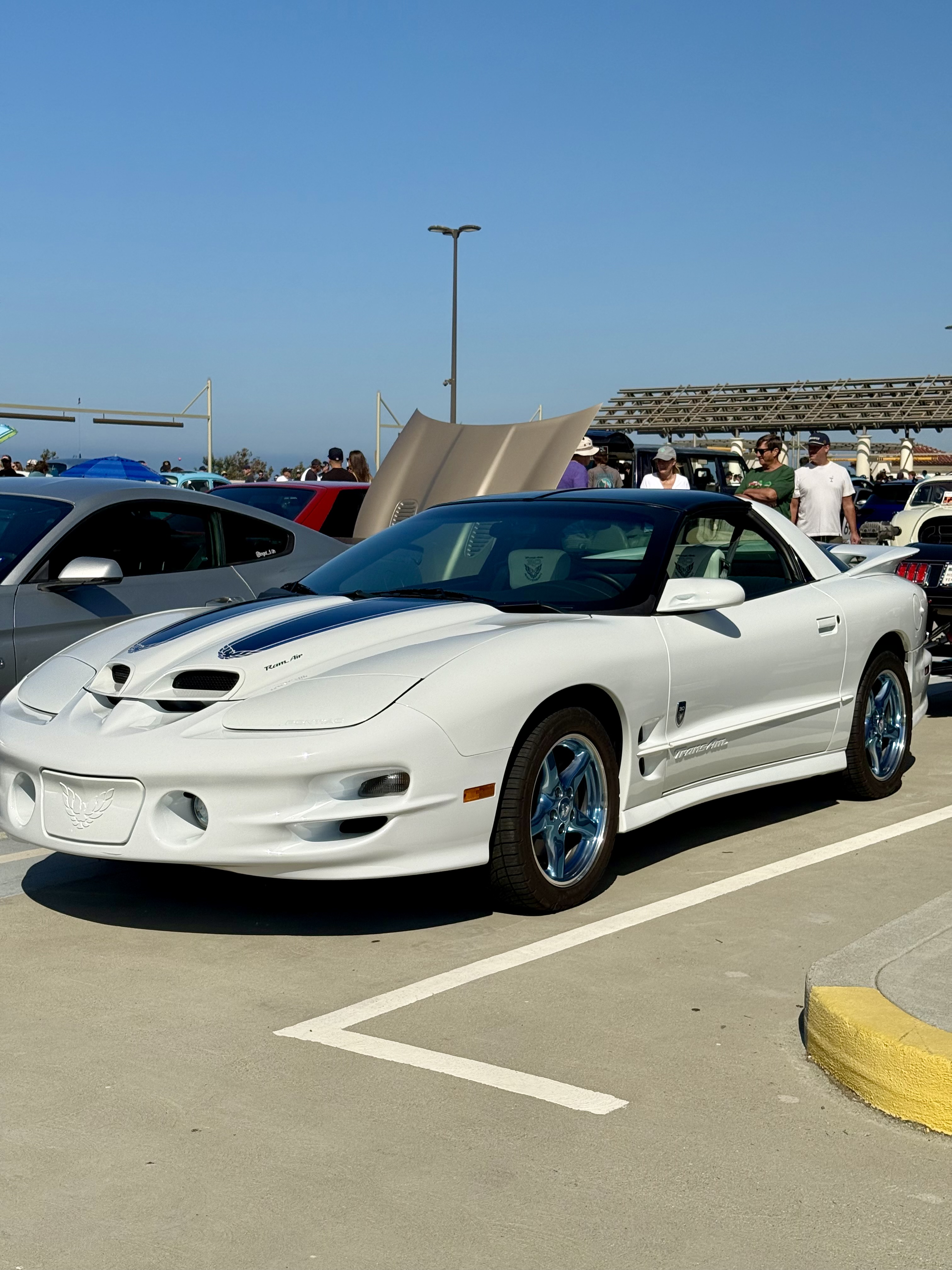 1999 Pontiac Firebird — Lineage Image 1