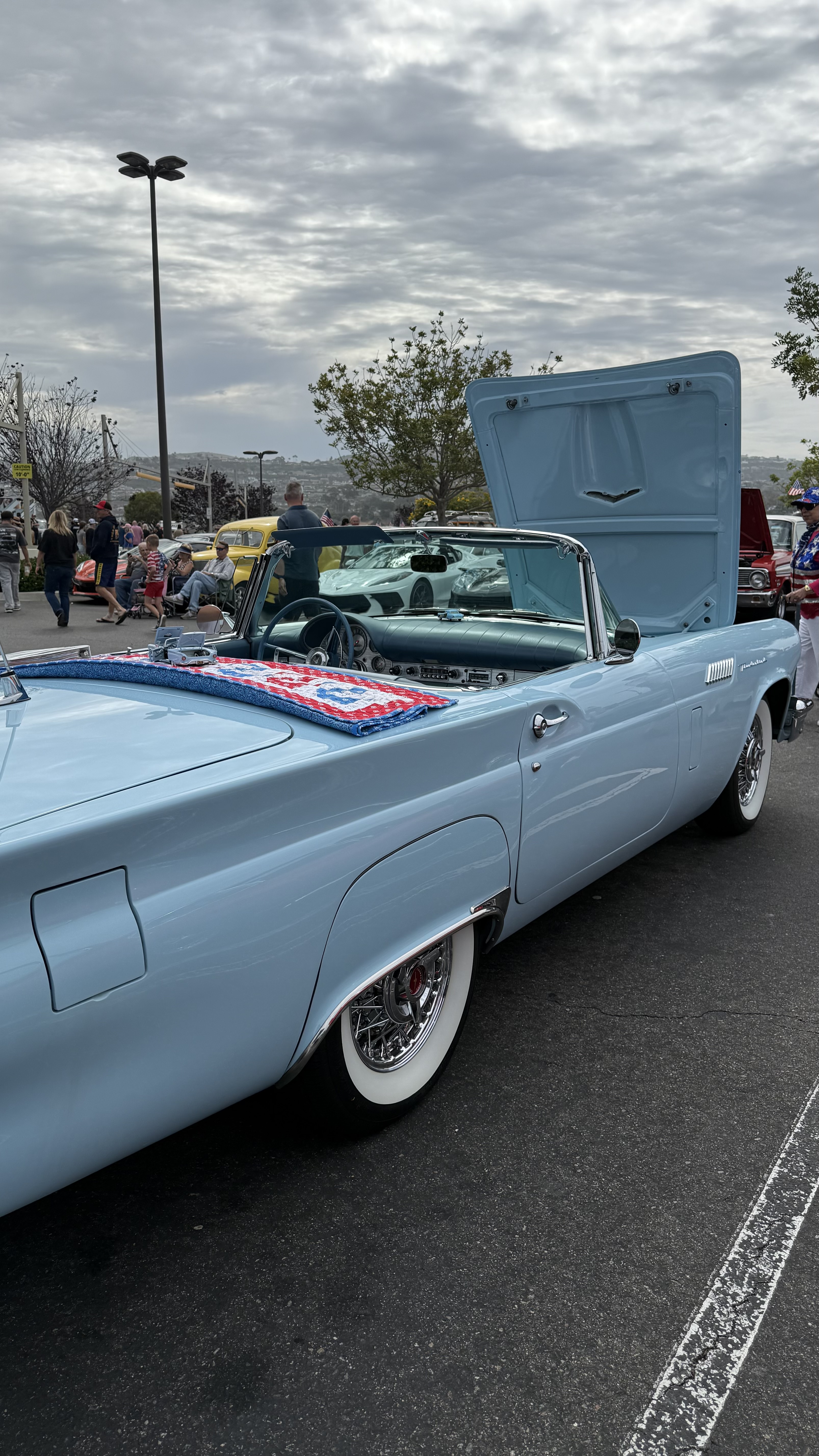 1957 Ford Thunderbird — Lineage Image 1