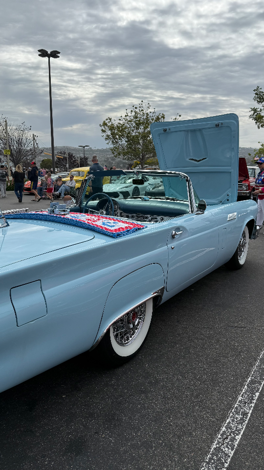 1957 Ford Thunderbird — Lineage Image 1