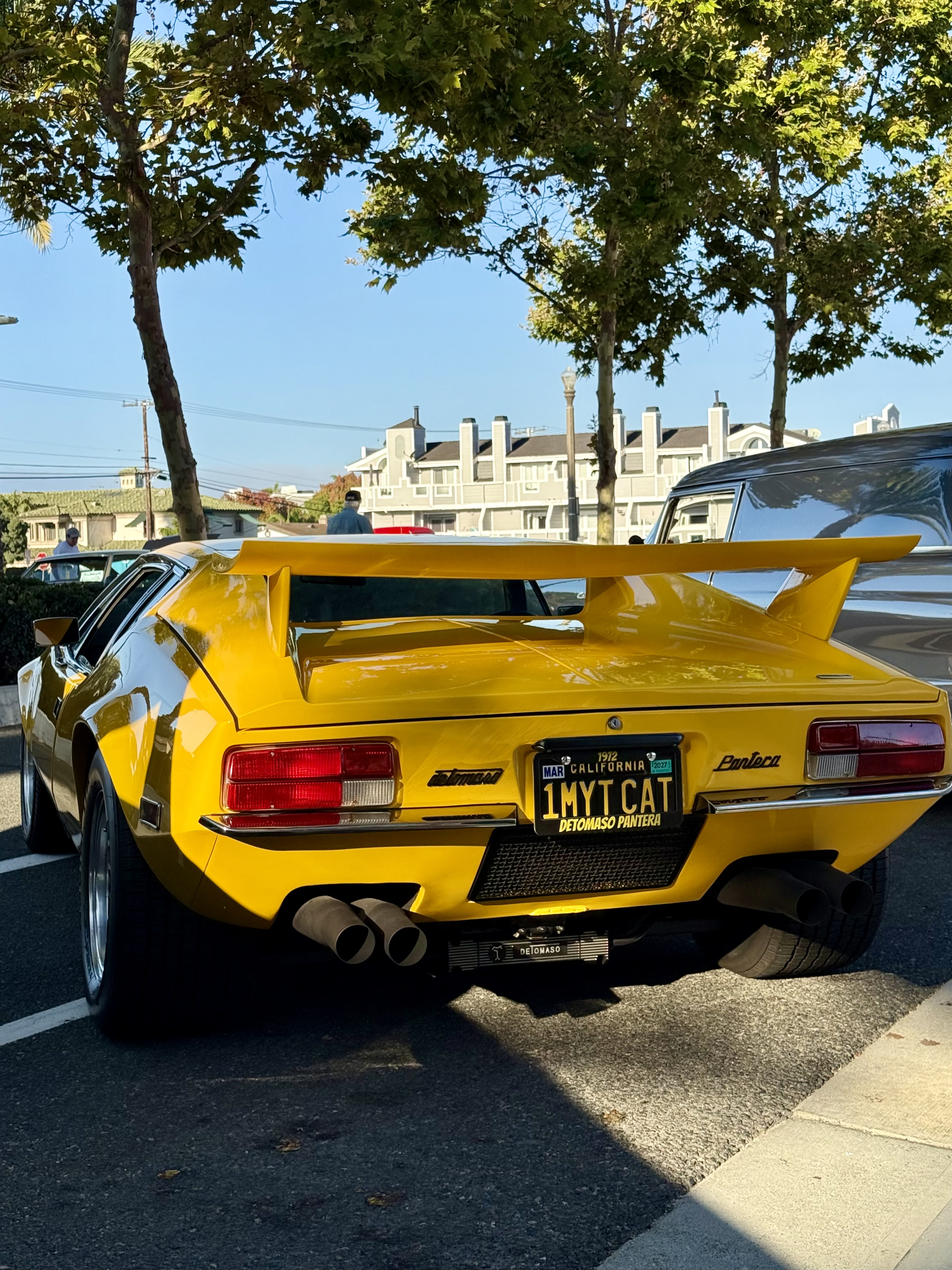 1972 De Tomaso Pantera — Lineage Image 2