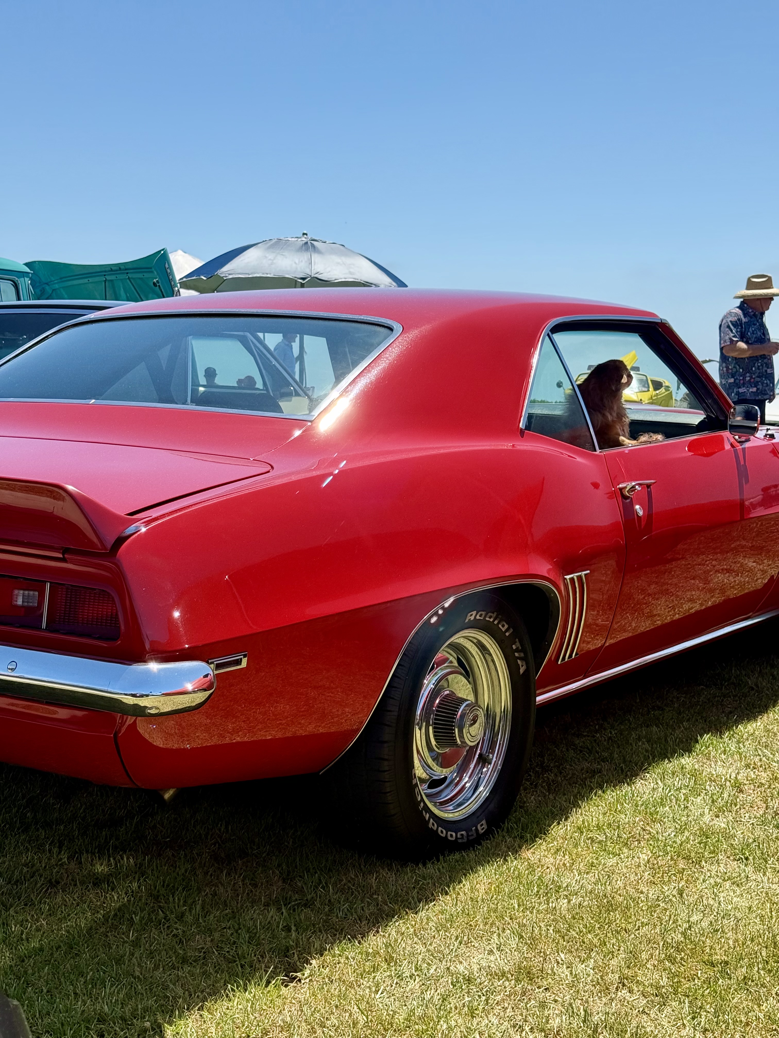 1969 Chevrolet Camaro — Lineage Image 2