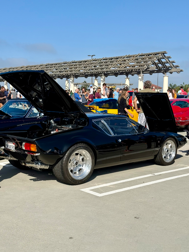 1971 De Tomaso Pantera — Lineage Image 1