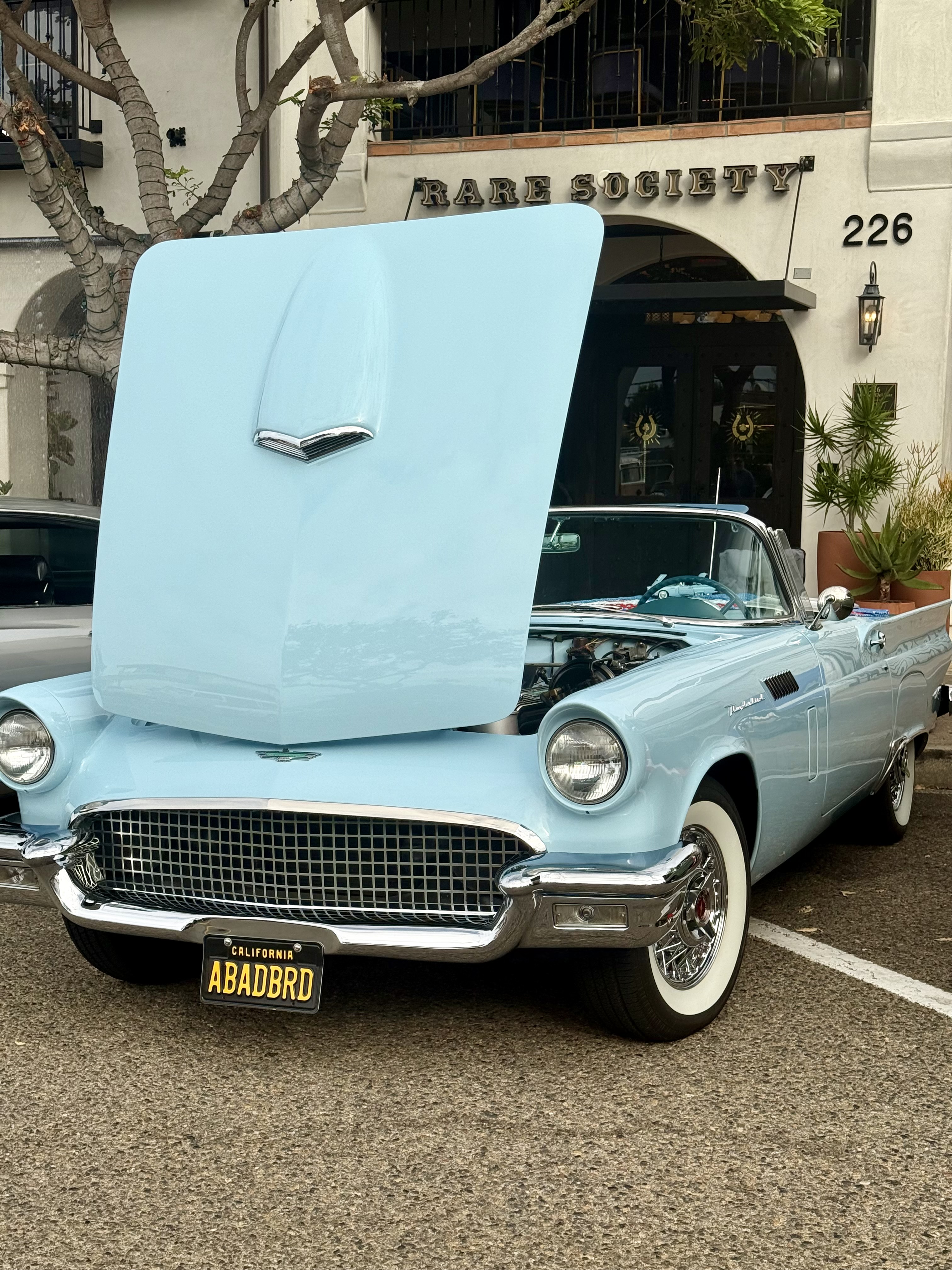 1957 Ford Thunderbird — Lineage Image 1