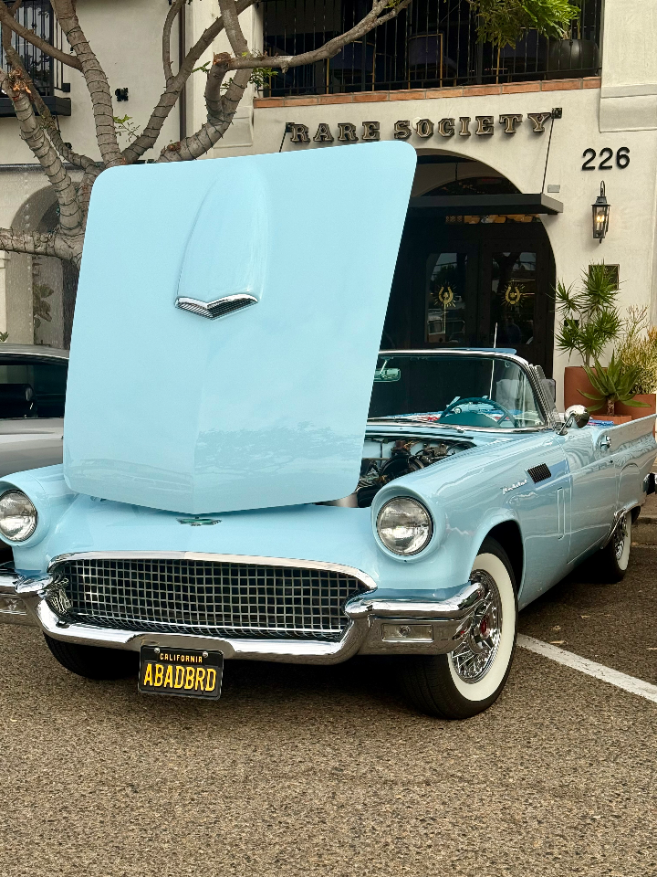 1957 Ford Thunderbird — Lineage Image 1