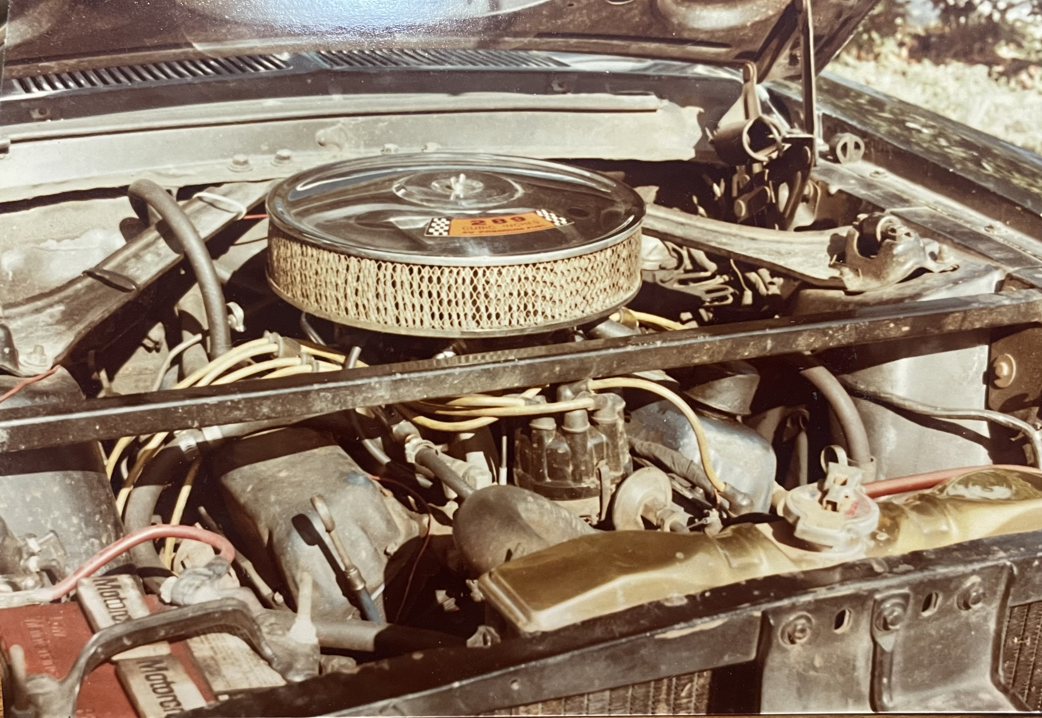 1967 Ford Mustang — Lineage Image 1
