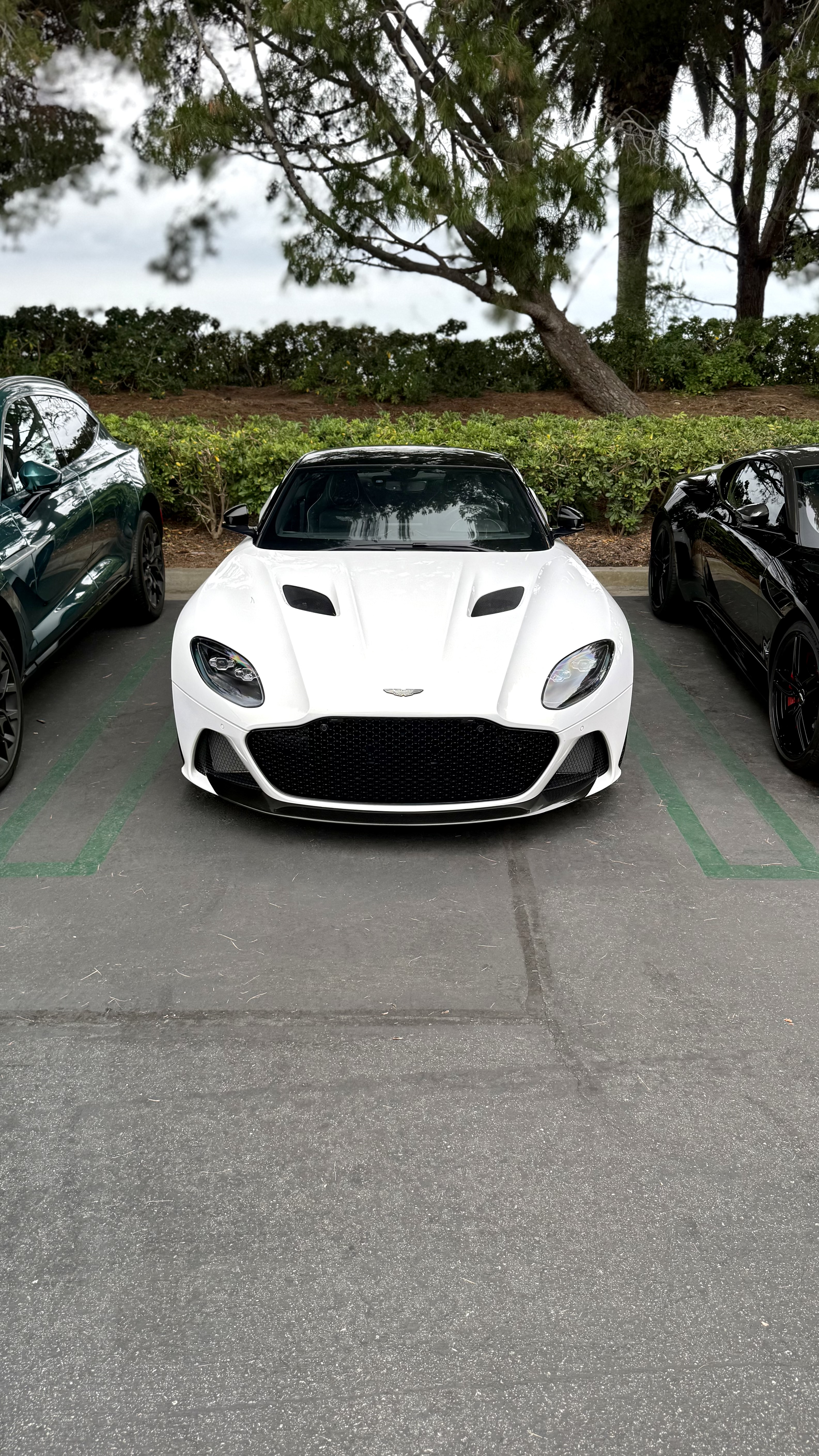 2023 Aston Martin DBS — Lineage Image 2