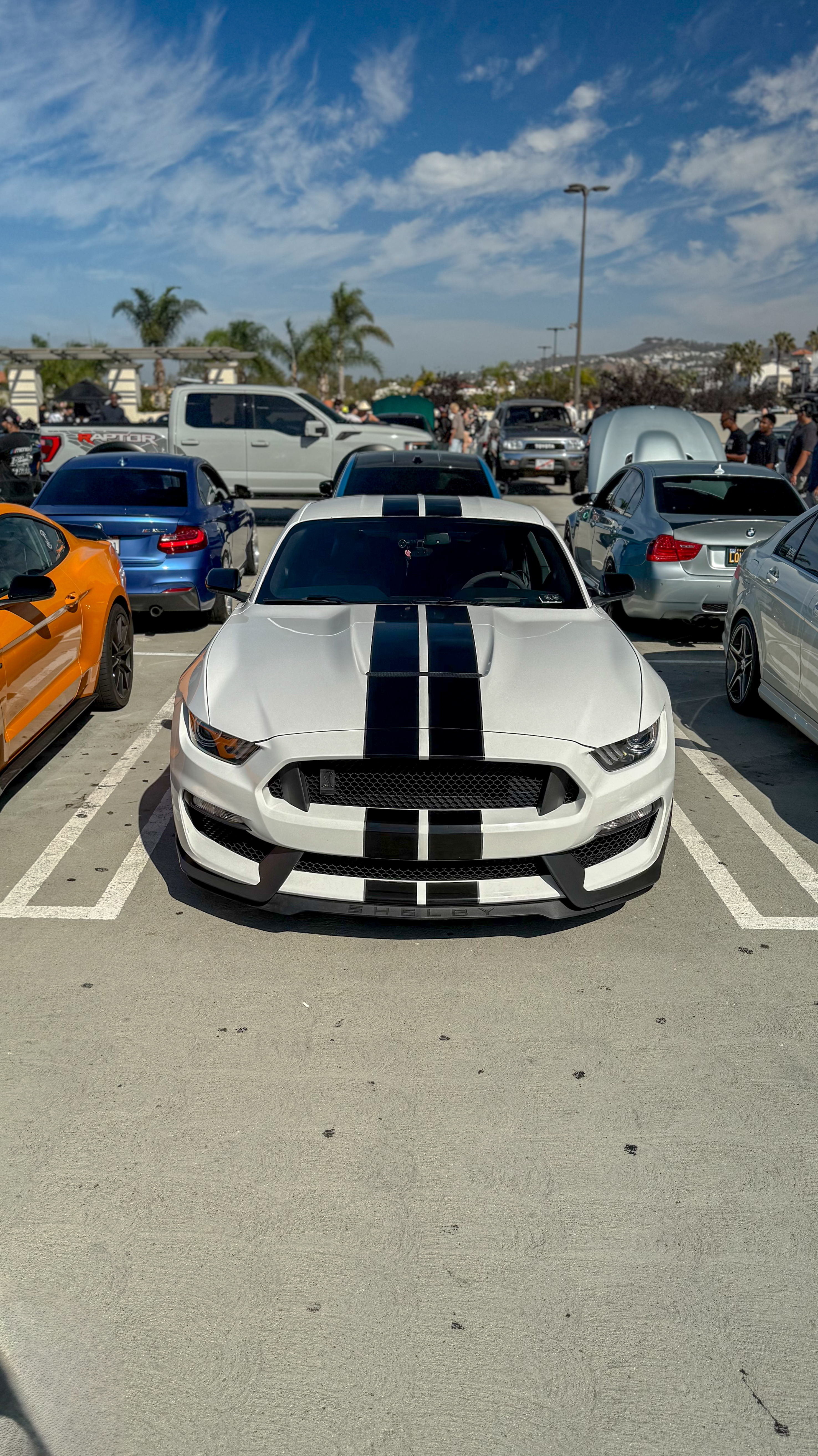 2019 Ford Mustang — Lineage Image 1