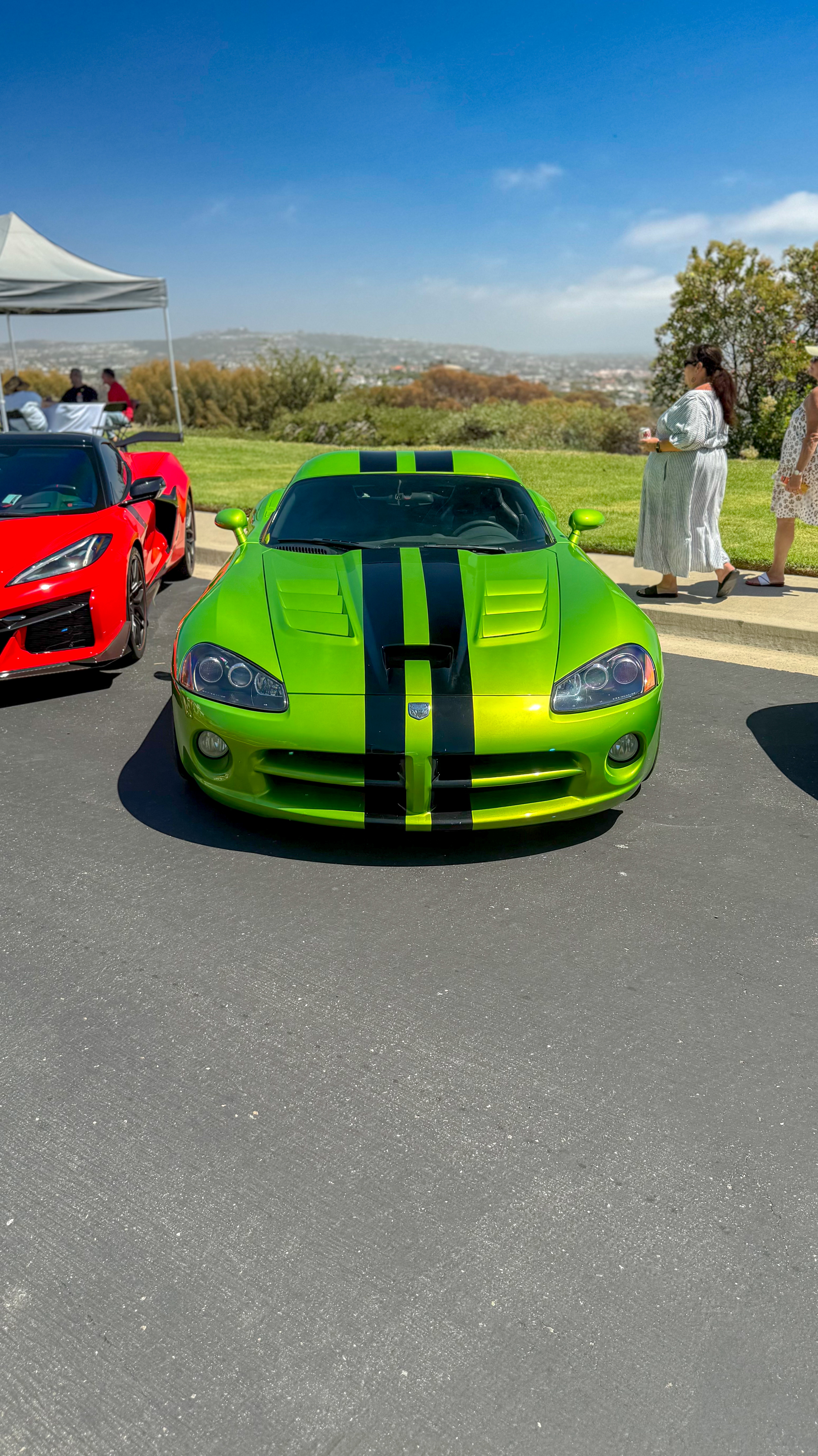 2009 Dodge Viper hero image