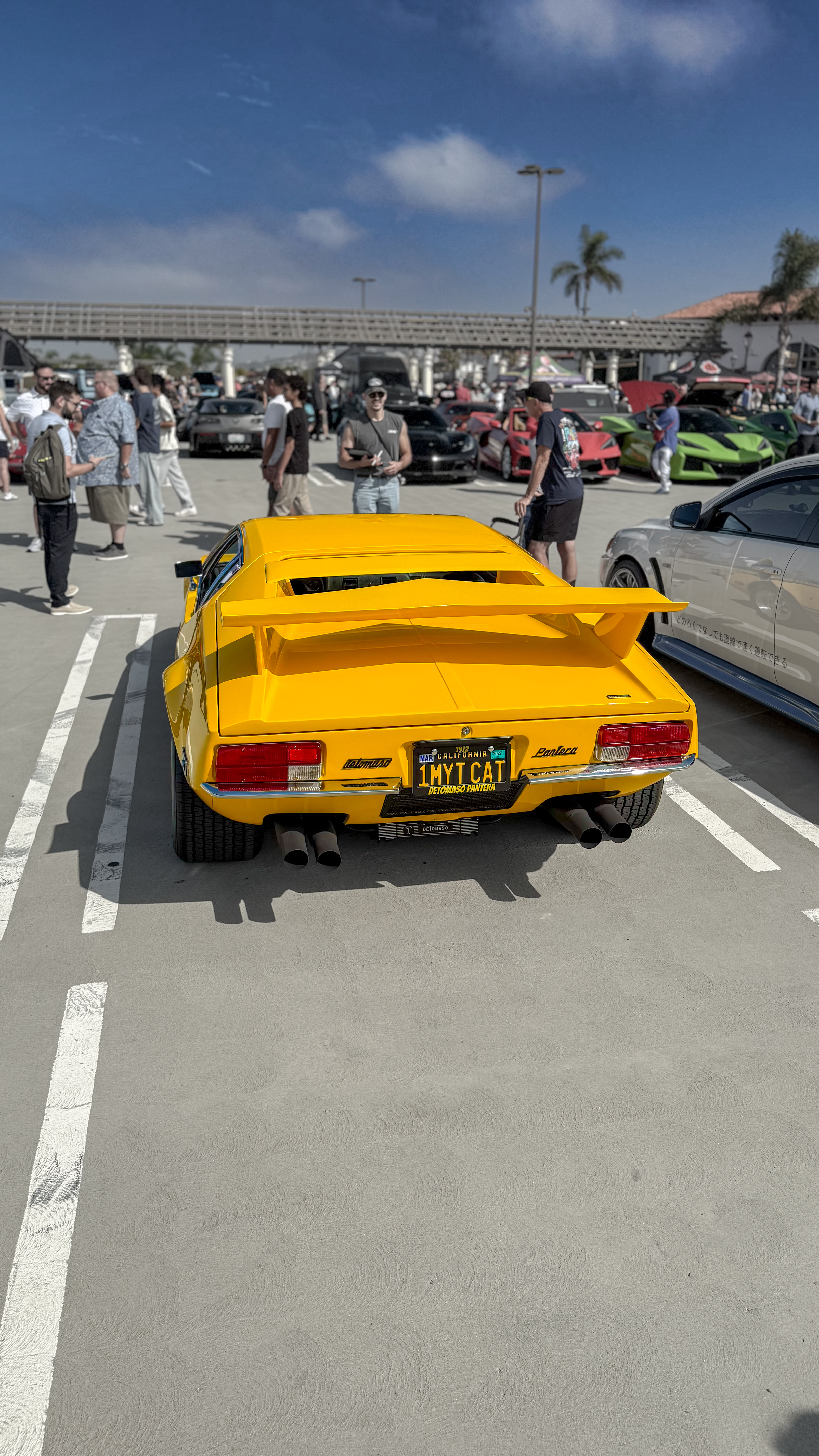 1972 De Tomaso Pantera — Lineage Image 3