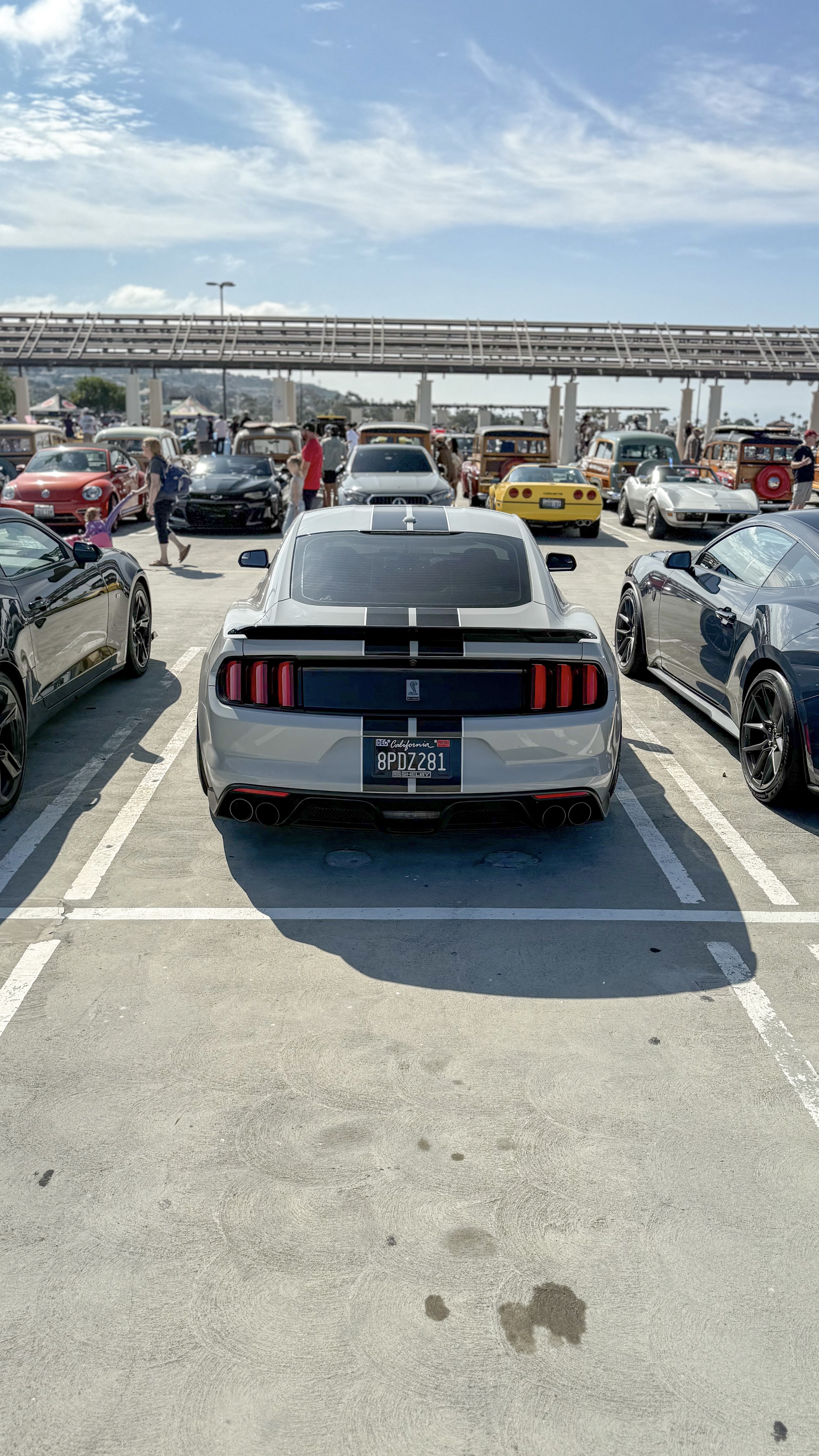 2017 Ford Mustang — Lineage Image 2