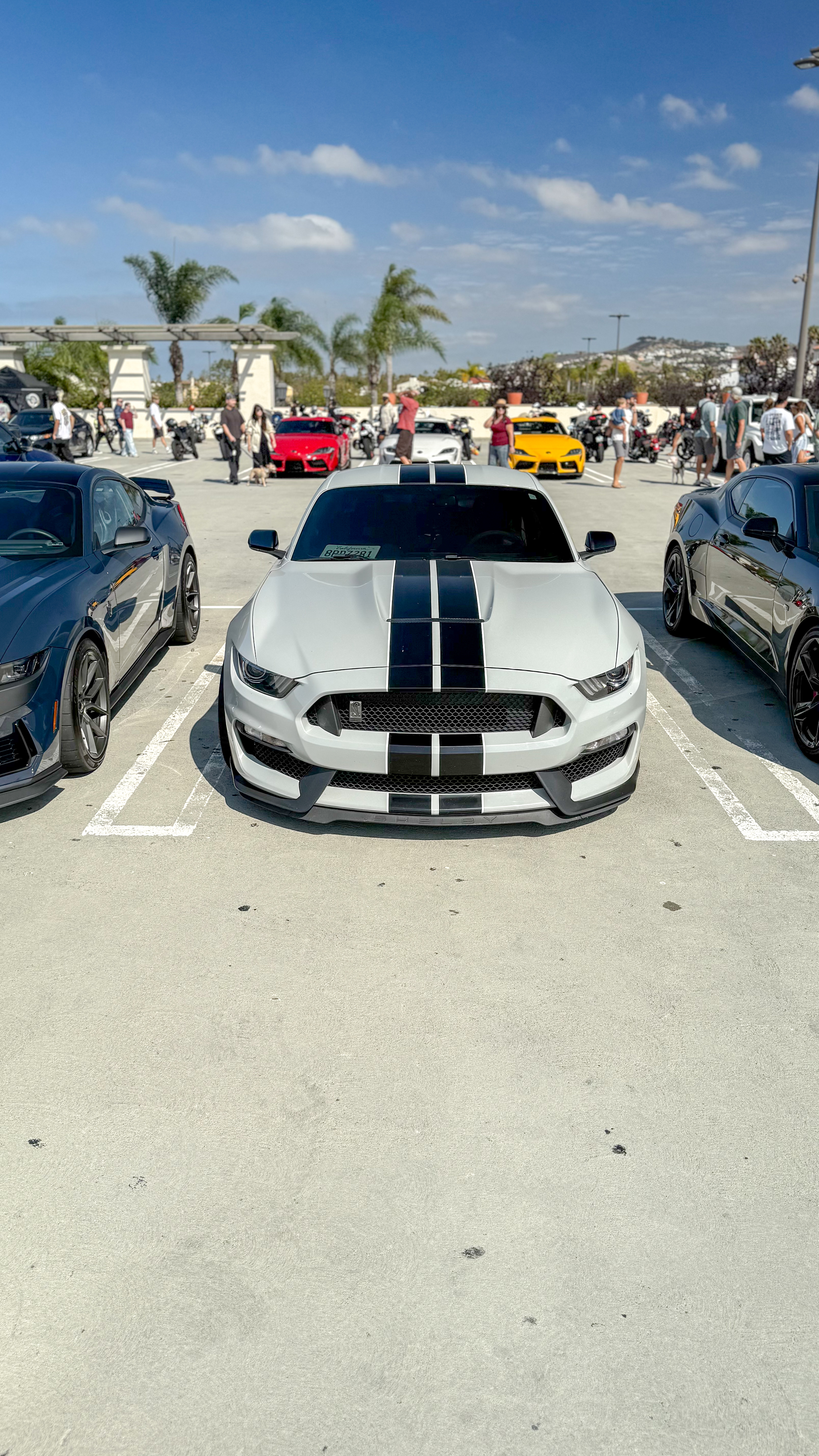 2017 Ford Mustang — Lineage Image 1