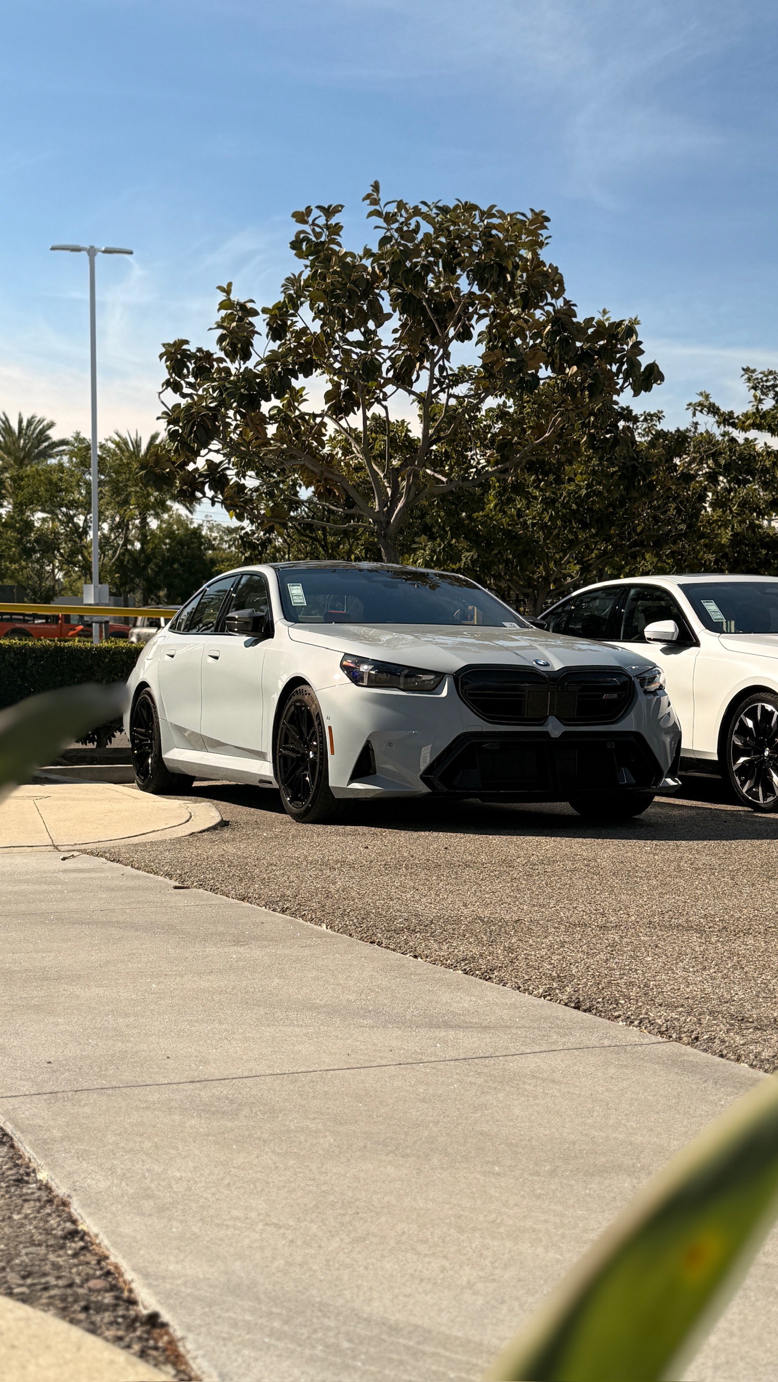 2026 BMW M5 — Lineage Image 1