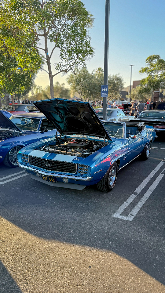 1969 Chevrolet Caprice — Lineage Image 1
