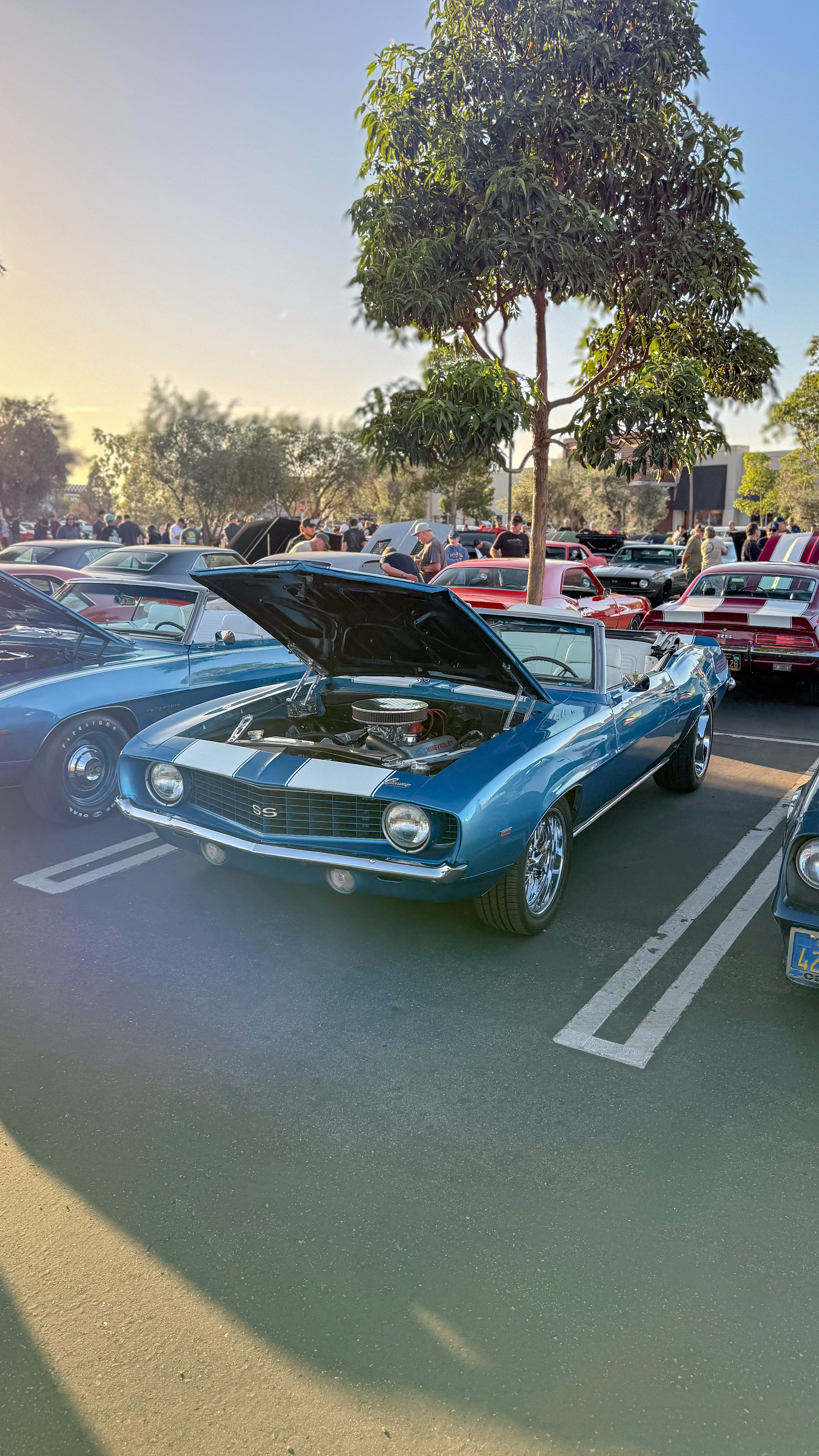 1969 Chevrolet Camaro — Lineage Image 1
