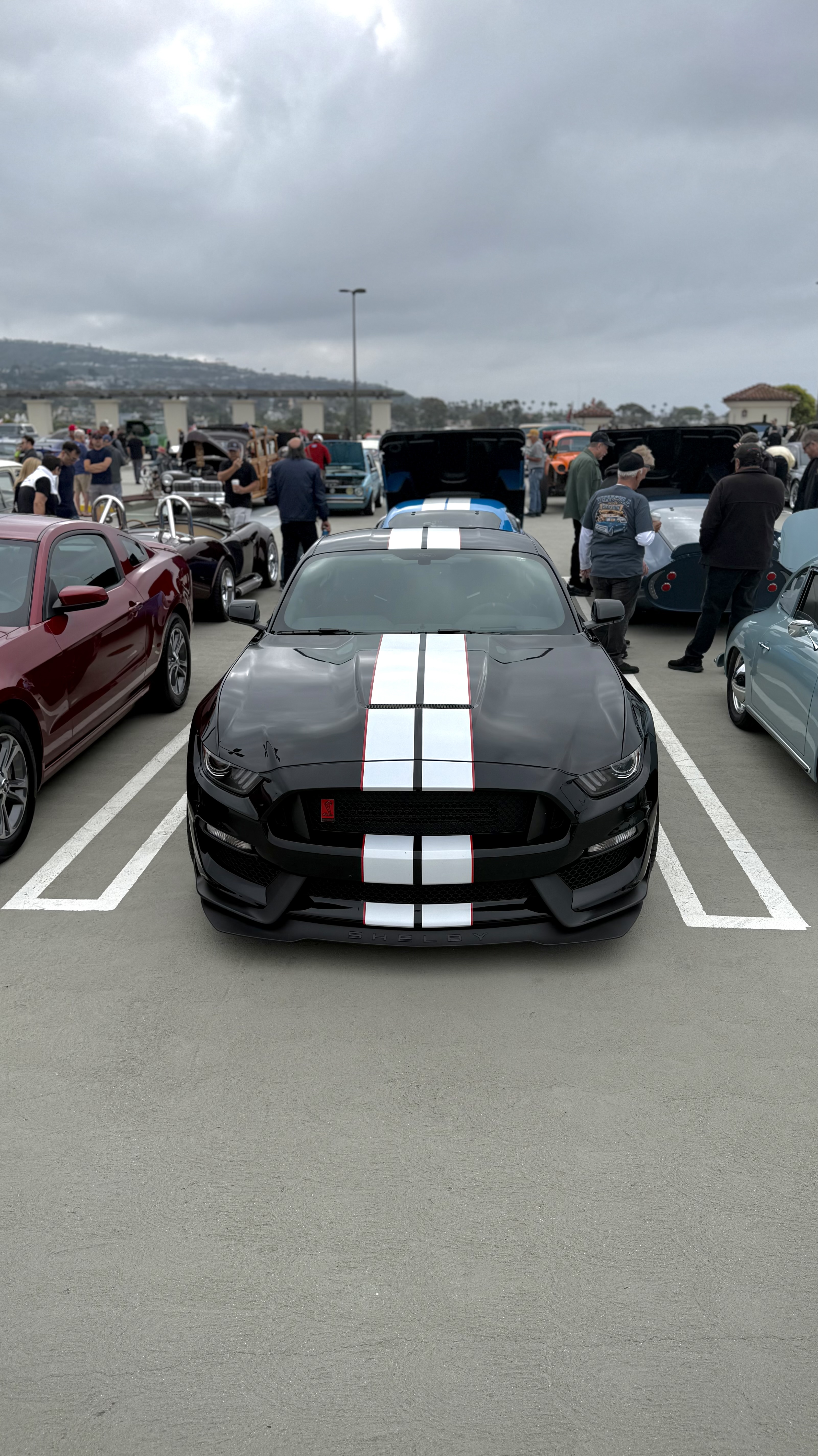 2016 Ford Mustang — Lineage Image 2