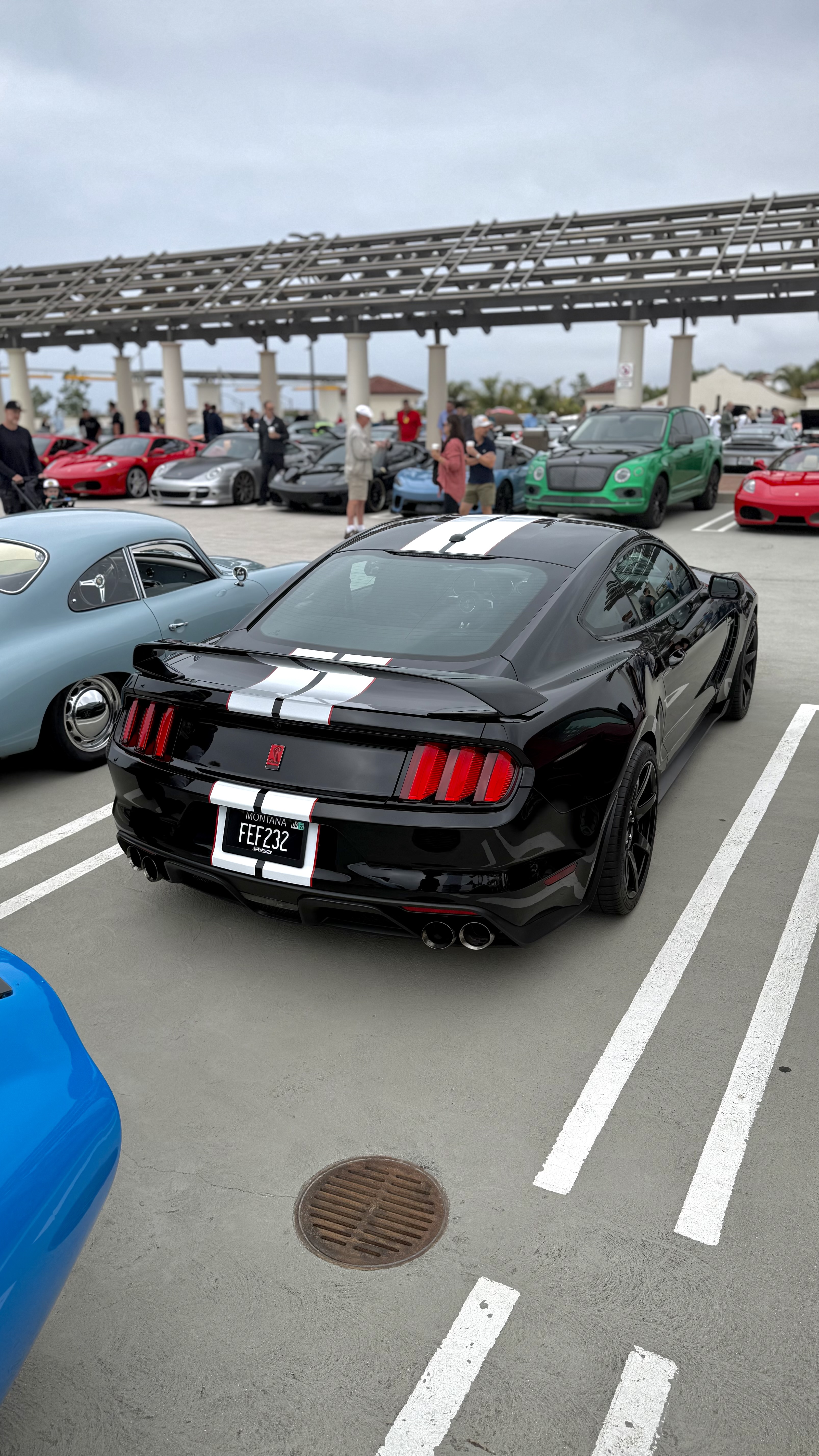 2016 Ford Mustang — Lineage Image 3
