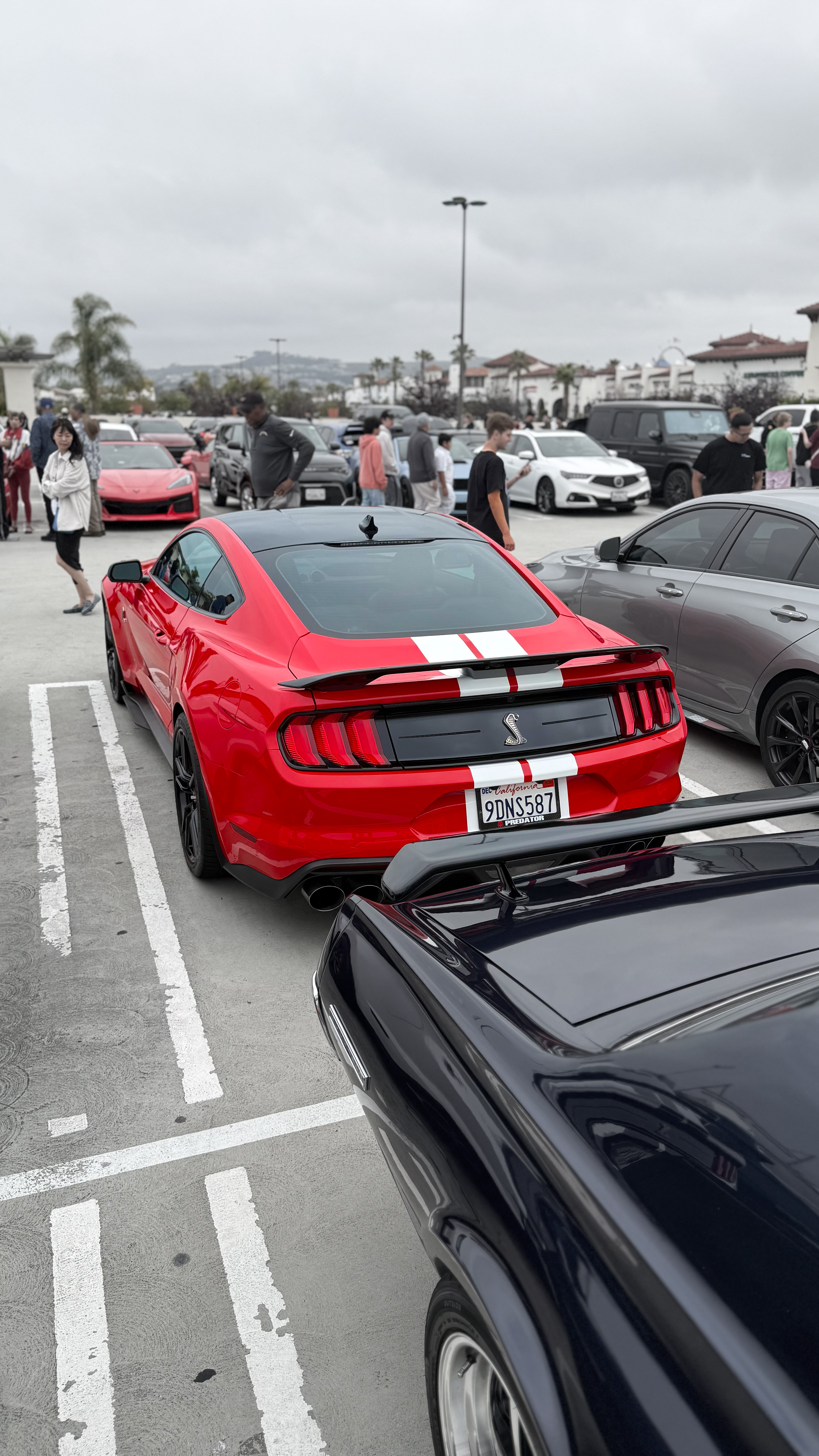 2022 Ford Mustang — Lineage Image 3