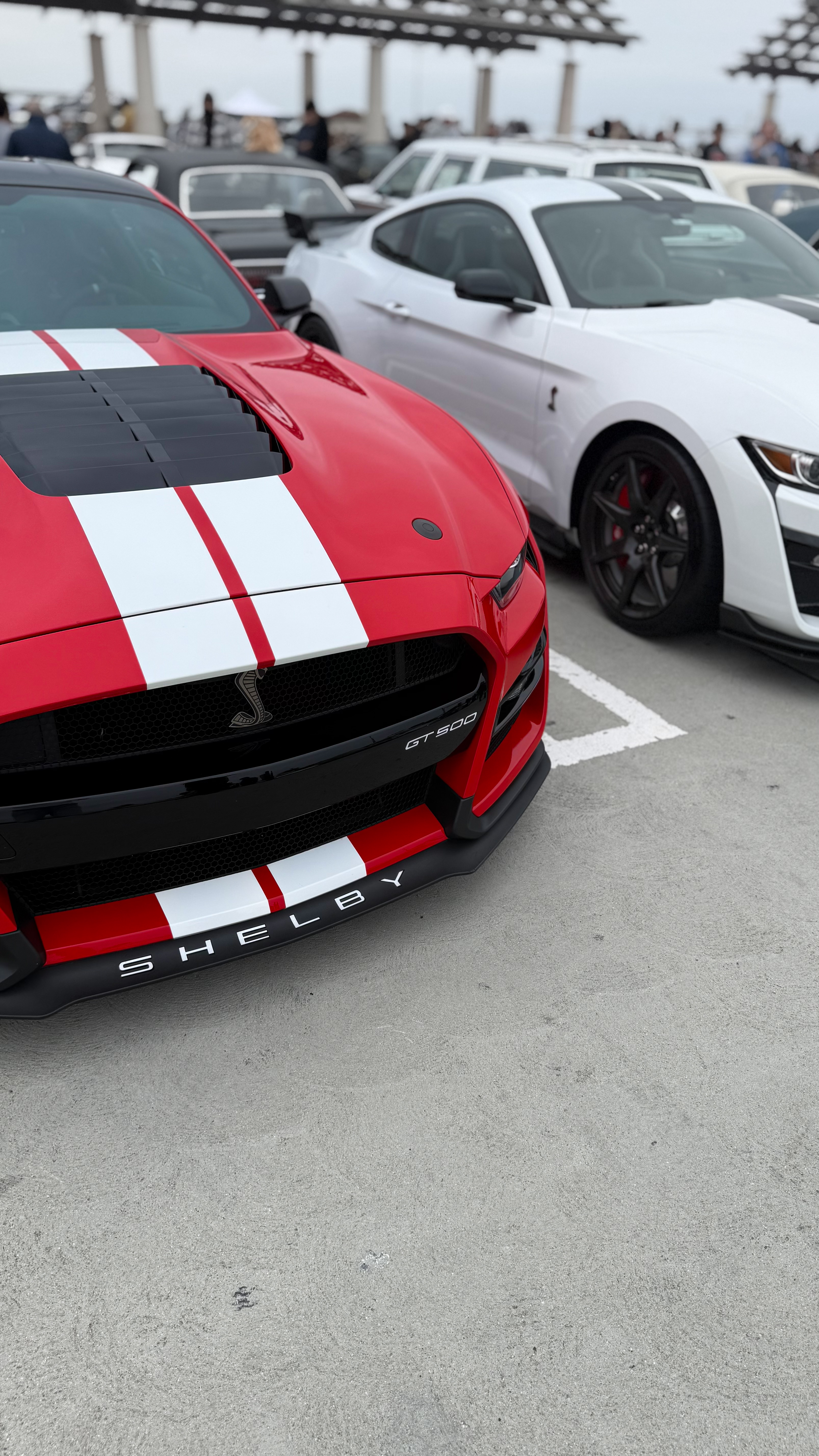 2022 Ford Mustang — Lineage Image 2