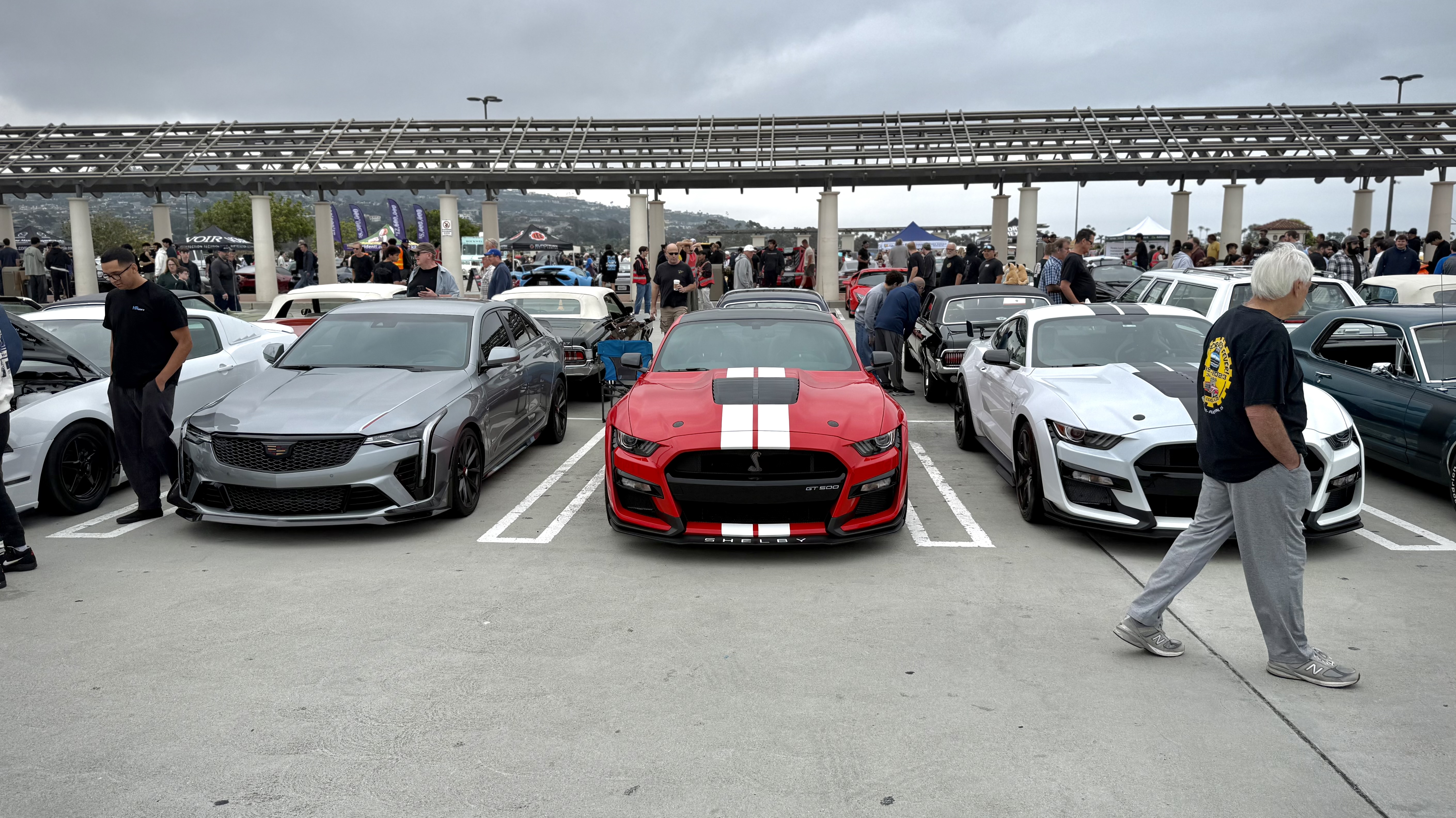 2022 Ford Mustang — Lineage Image 1